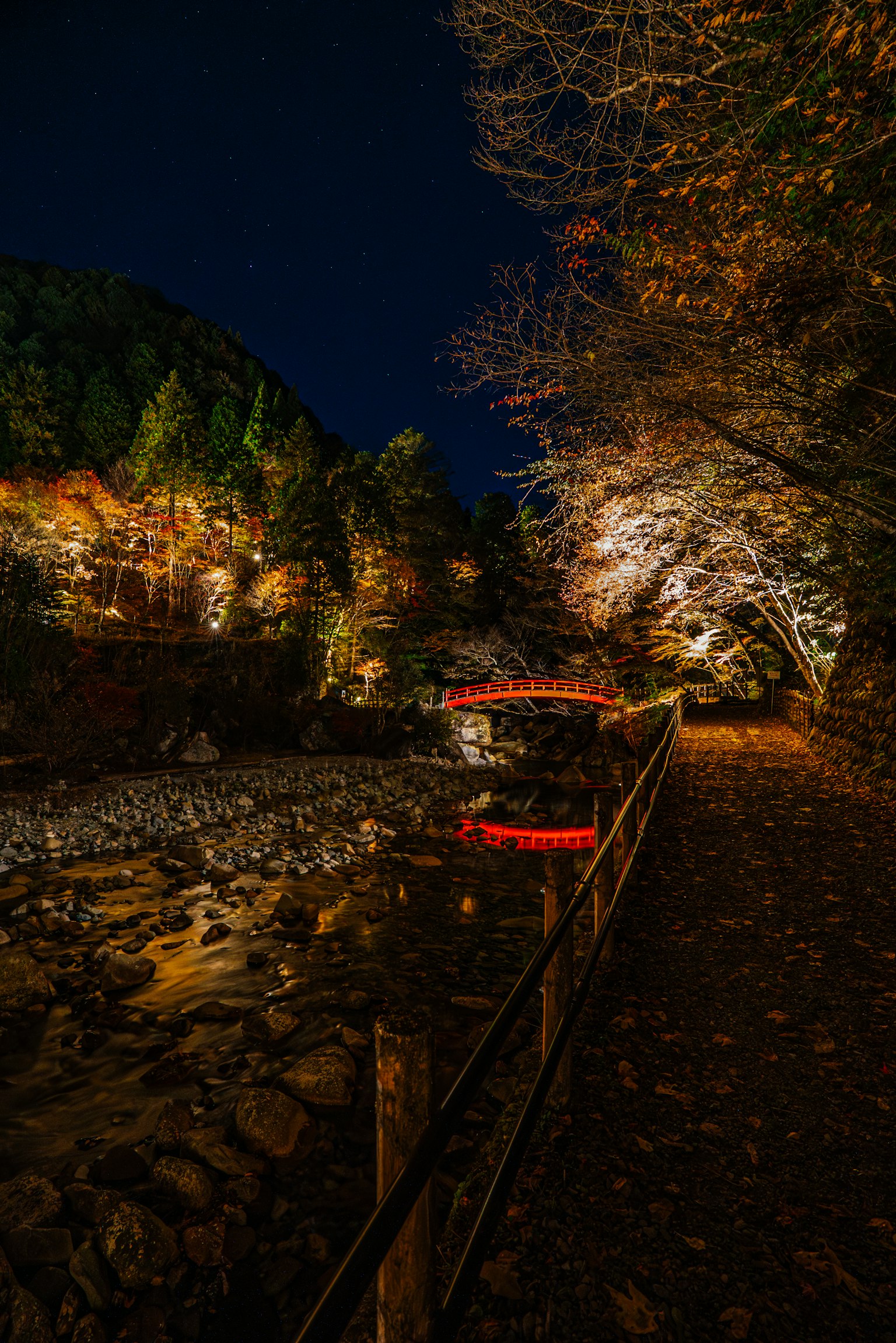 Scène nocturne le long d'une rivière avec des arbres d'automne illuminés et un chemin