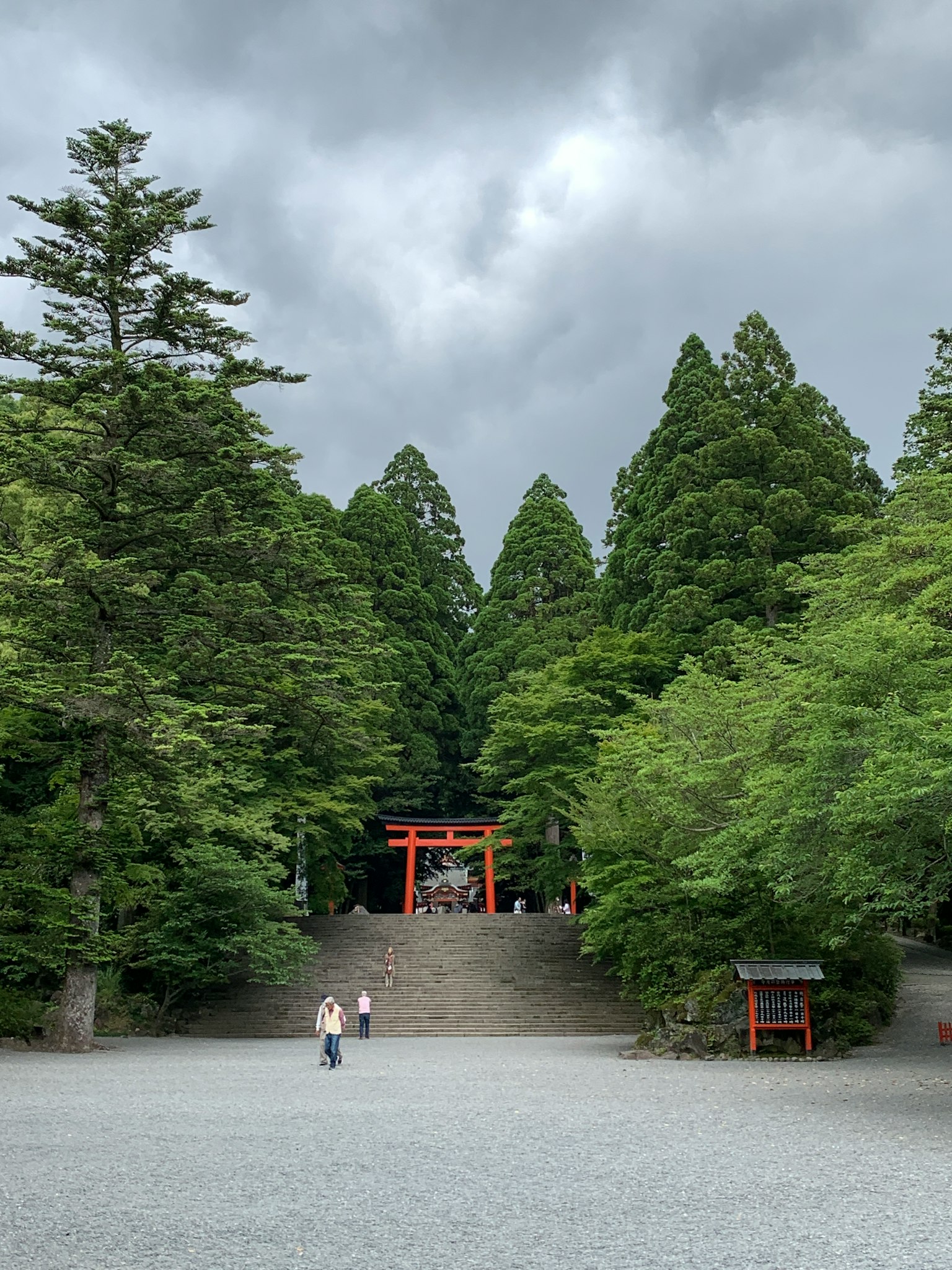 被郁郁葱葱的树木和石阶环绕的神社门的风景