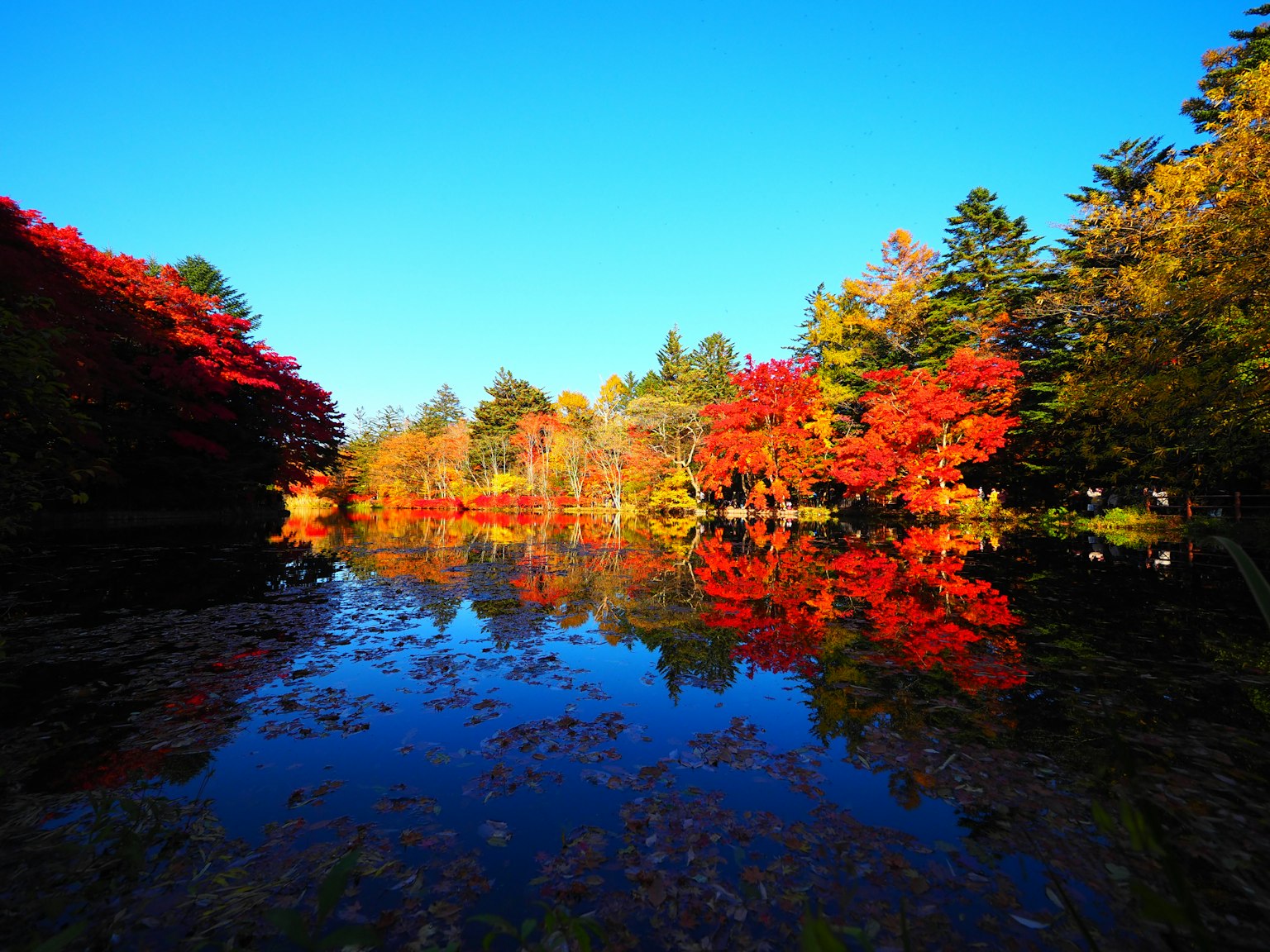 Paisaje sereno de lago reflejando colores otoñales