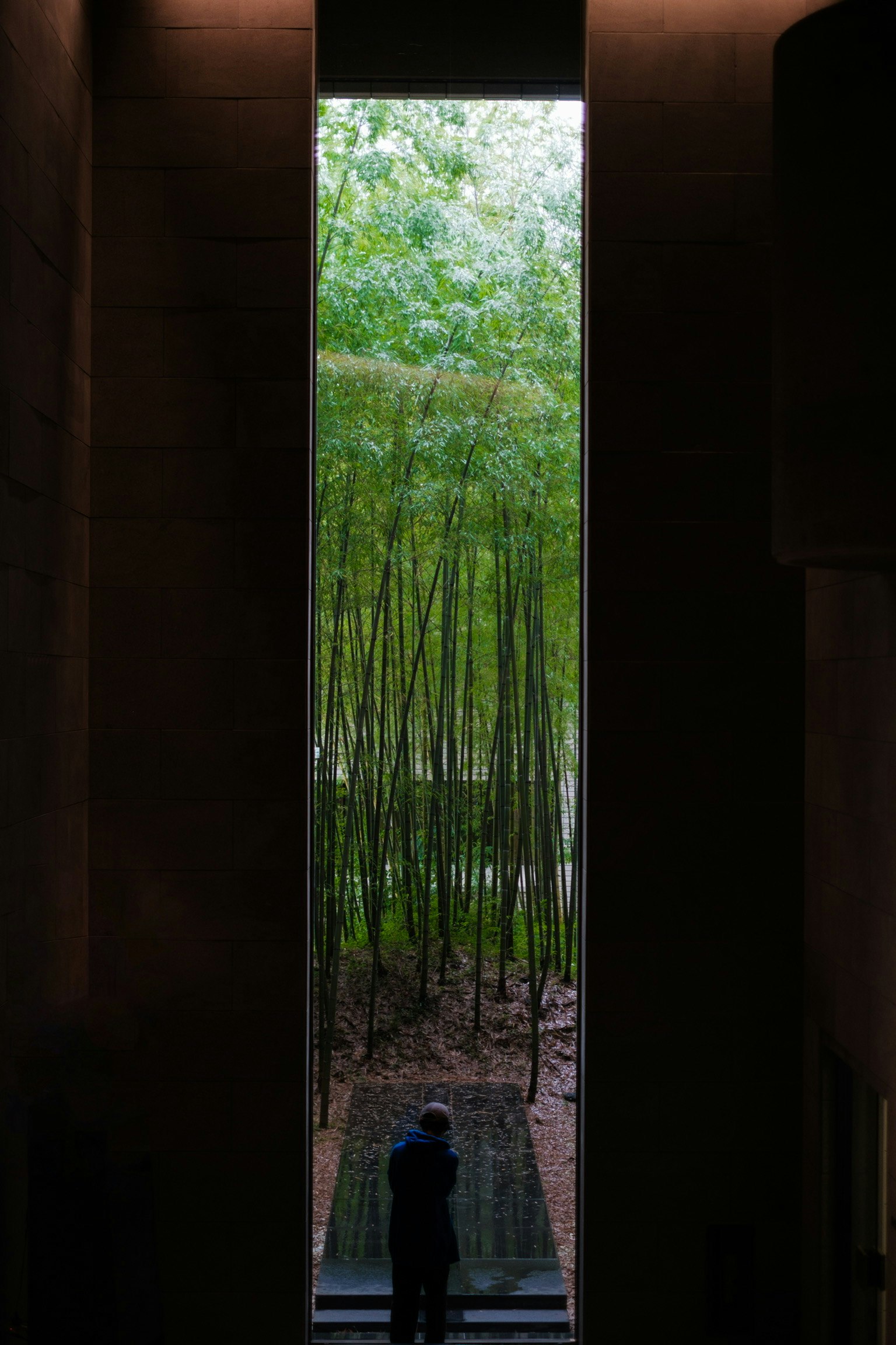 photo-dvuKfenoj8rHgn8LtLPT-image