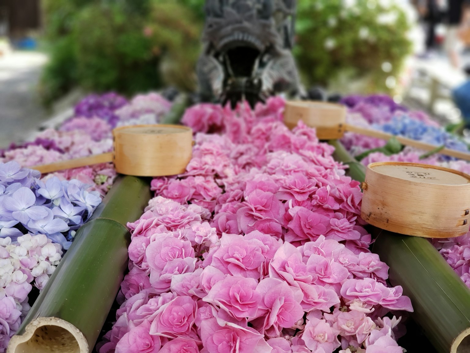 Beautiful arrangement of colorful flowers with bamboo accents