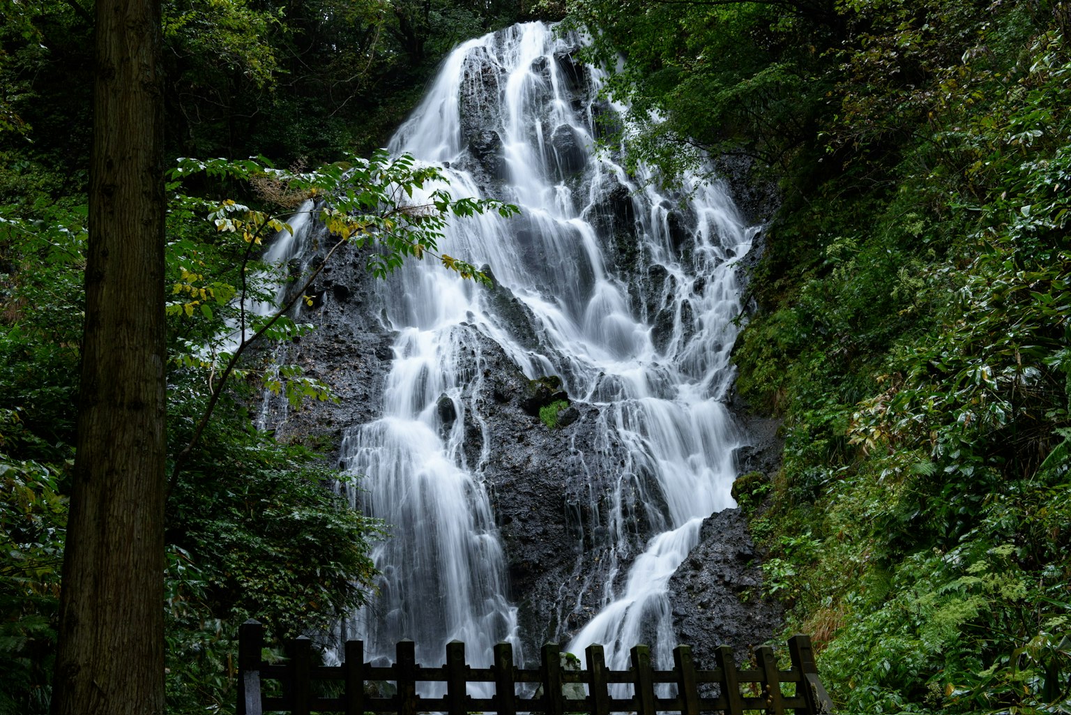 Una hermosa cascada rodeada de árboles verdes exuberantes
