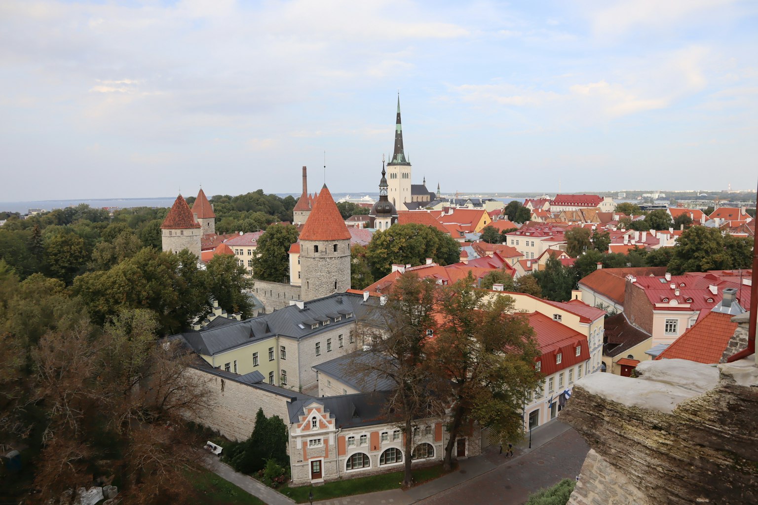 Vista della città vecchia di Tallinn con edifici a tetto rosso e una torre
