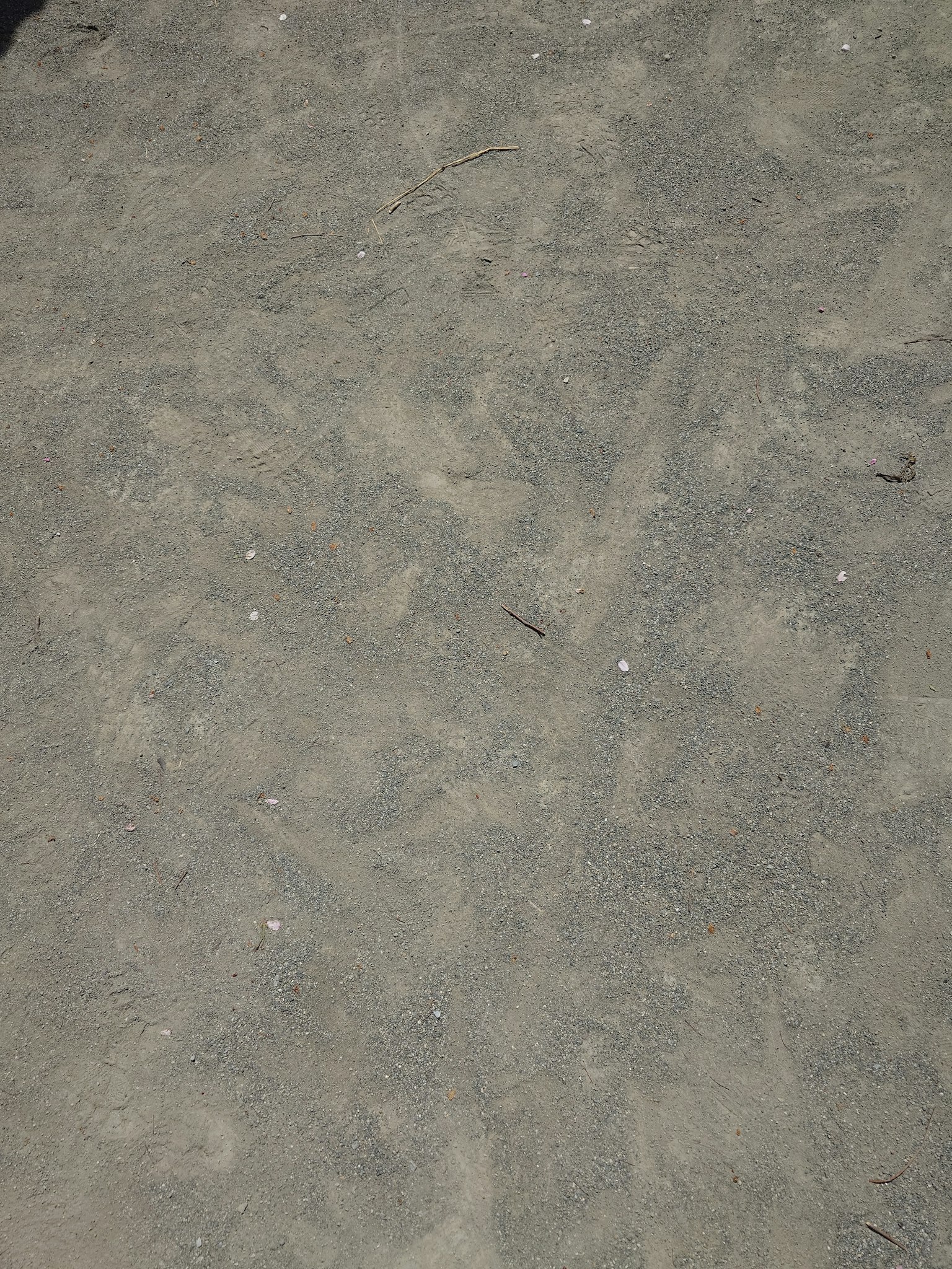Surface of gravel with small stones scattered