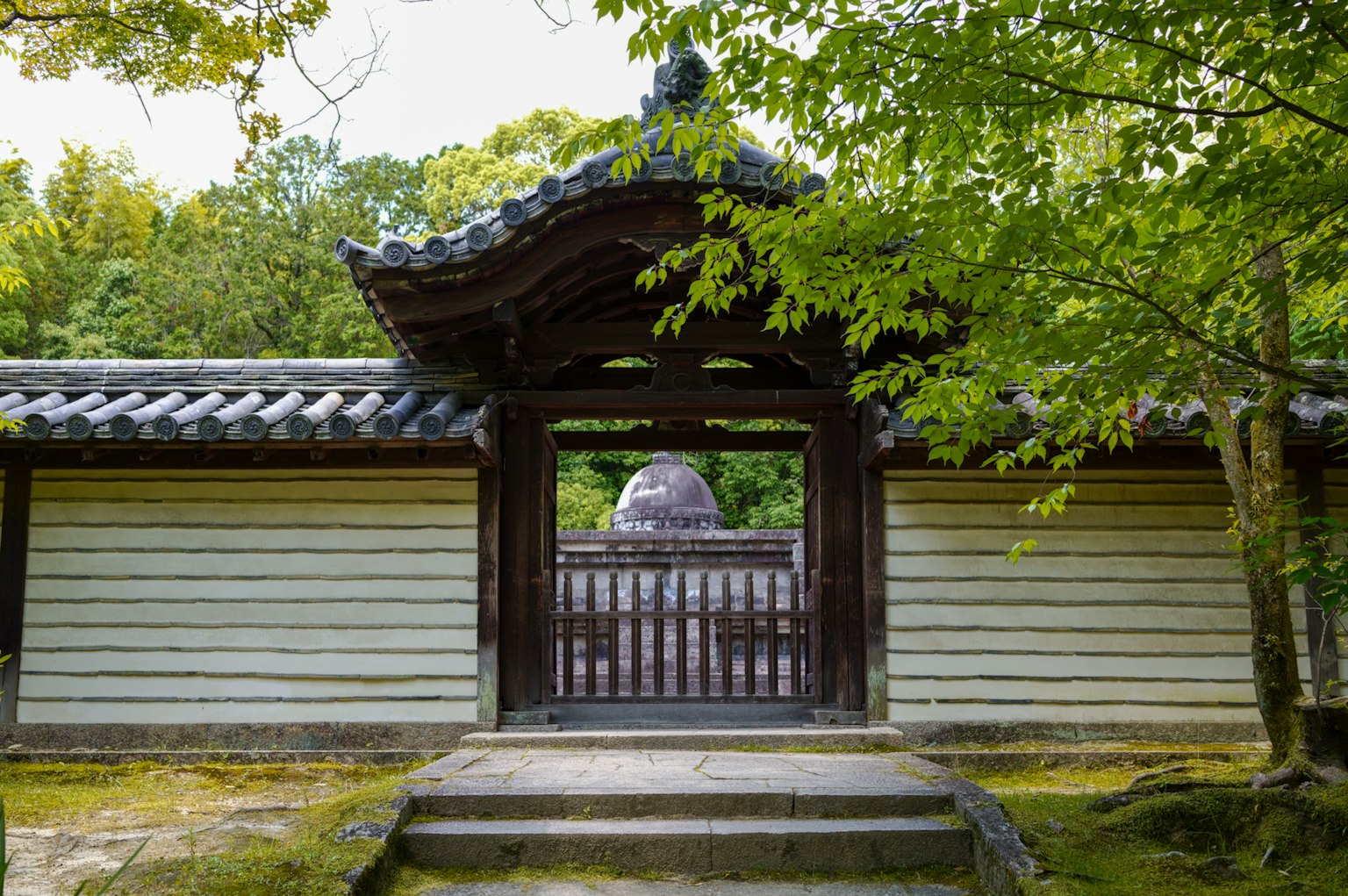Hermosa puerta de jardín japonés rodeada de árboles verdes y arquitectura tradicional