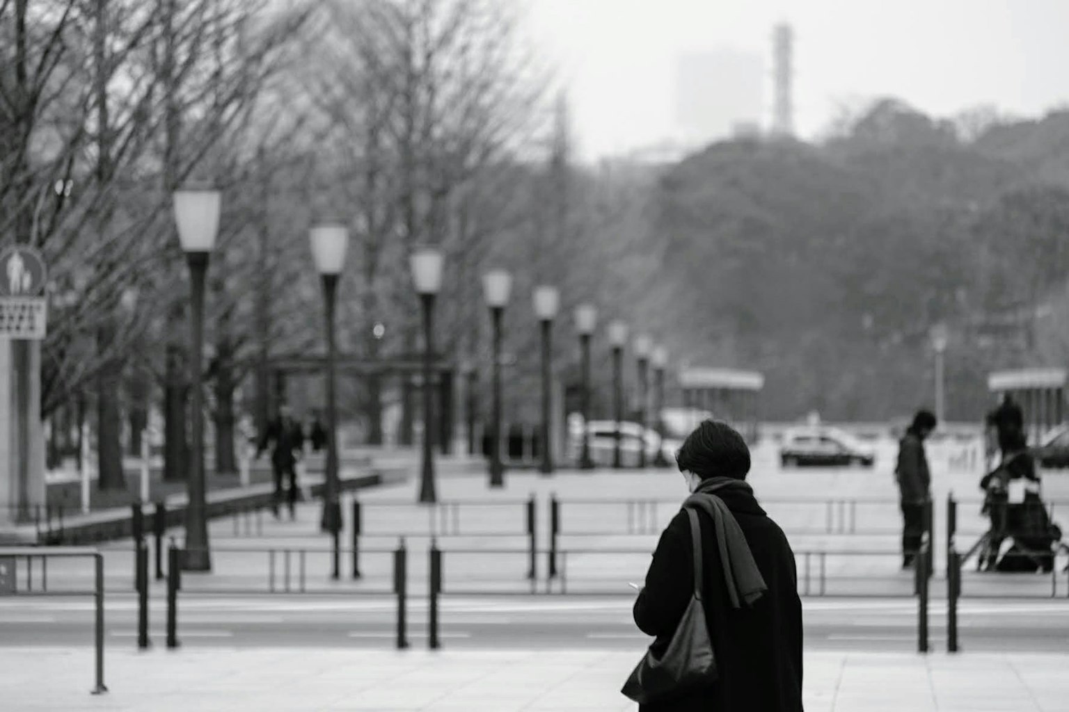 Foto en blanco y negro de una persona caminando en una calle de invierno con farolas y árboles
