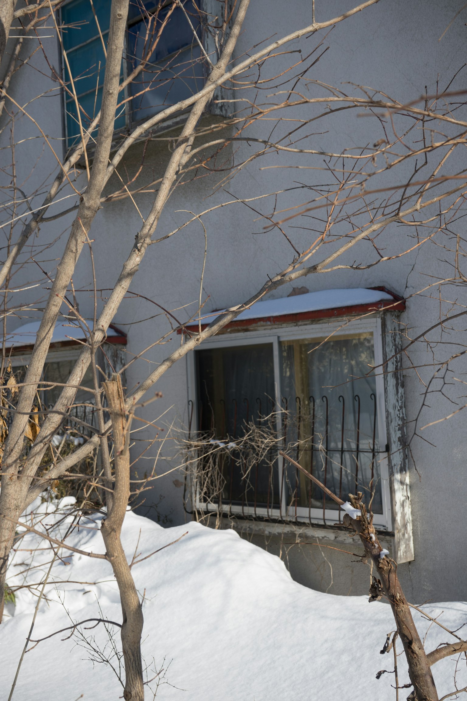 Una parte de un edificio con una ventana cubierta de nieve y ramas de árbol