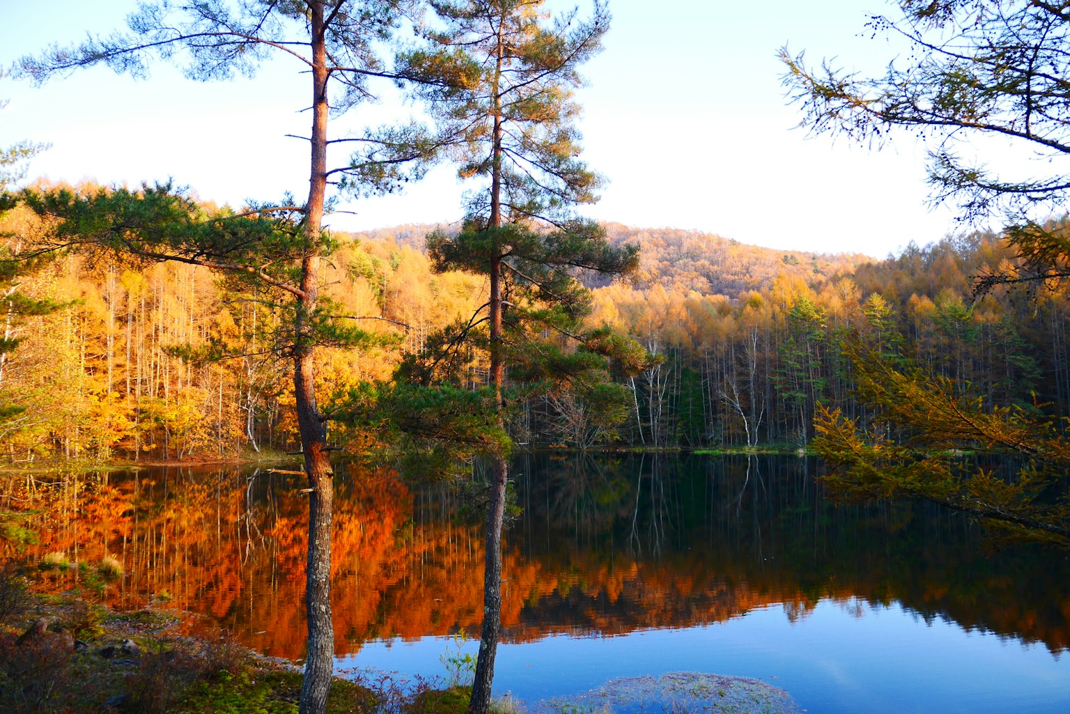 Ruhiger See umgeben von Herbstbäumen und lebhaftem Laub