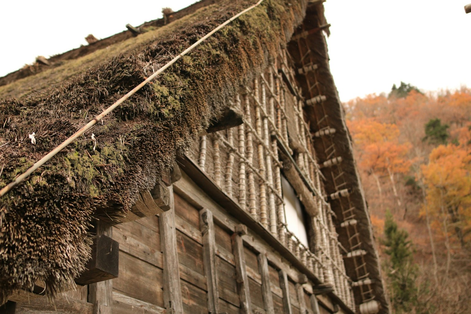 Dettaglio di un lato di una casa tradizionale con tetto di paglia con paesaggio autunnale sullo sfondo