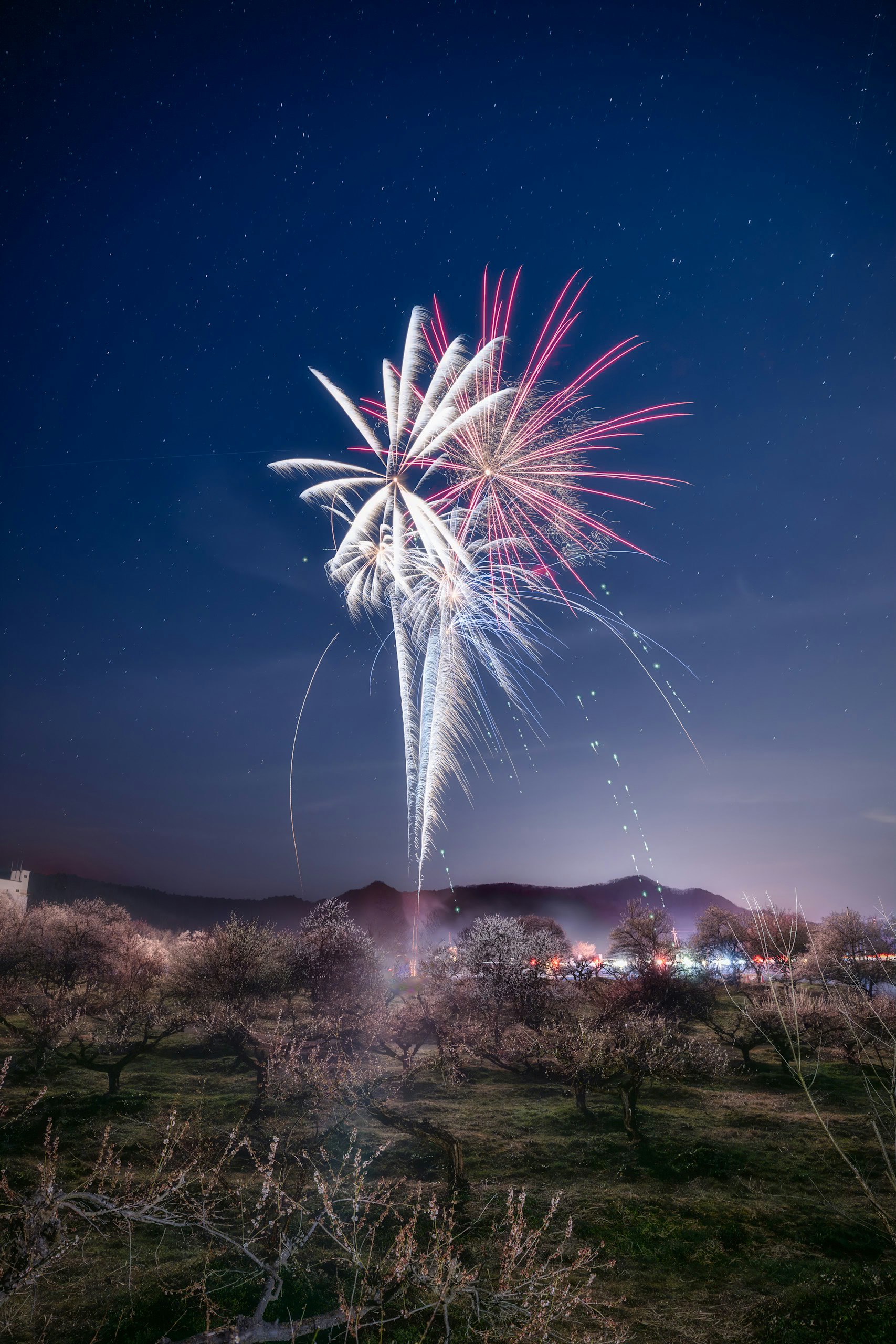 夜空中的煙花與遠處城市天際線