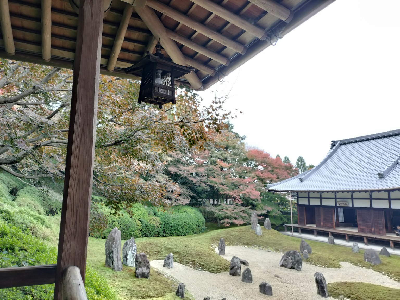 日本庭园景观，传统建筑和石头排列，秋季树叶