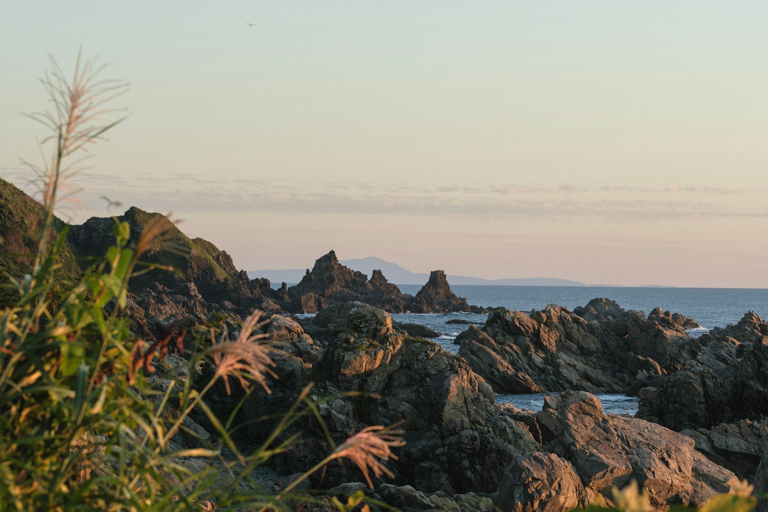 Paesaggio costiero con rocce e erba al tramonto