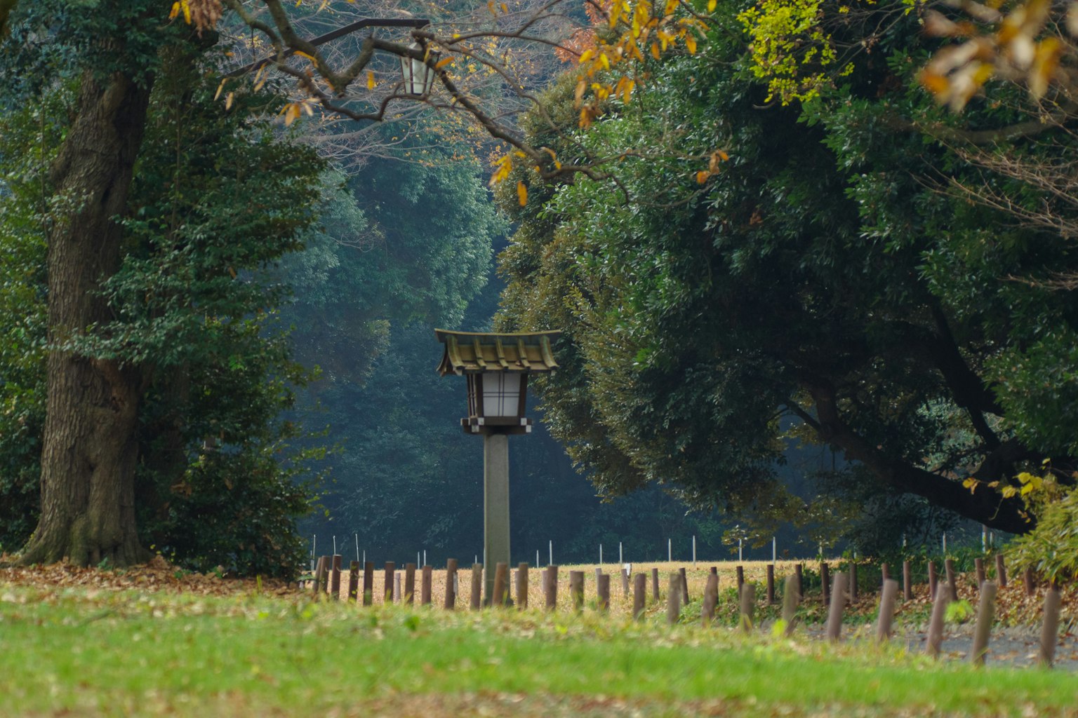 Una scena tranquilla del parco con una lanterna e alberi verdi circostanti