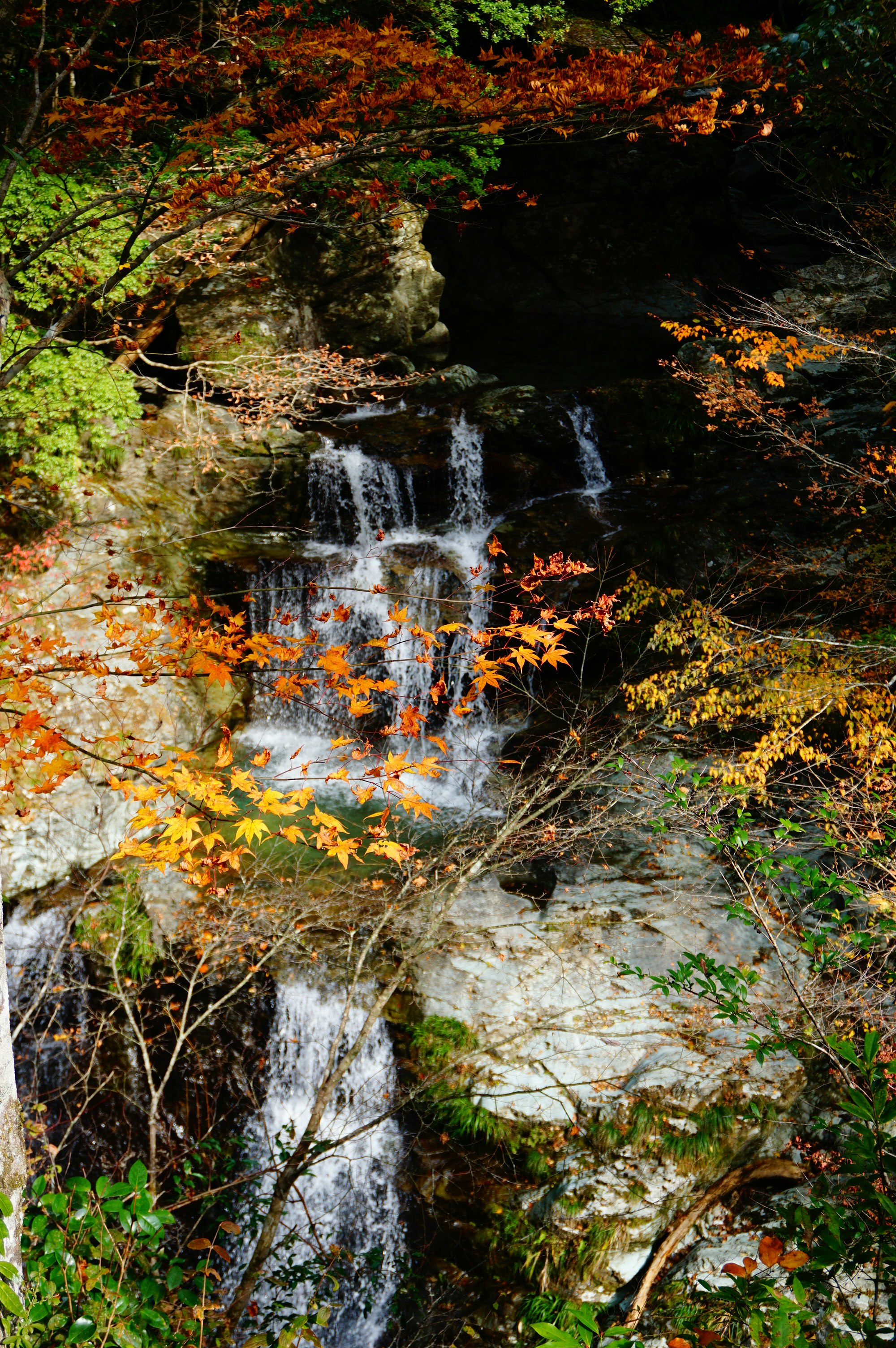紅葉と小さな滝が流れる渓流の自然風景