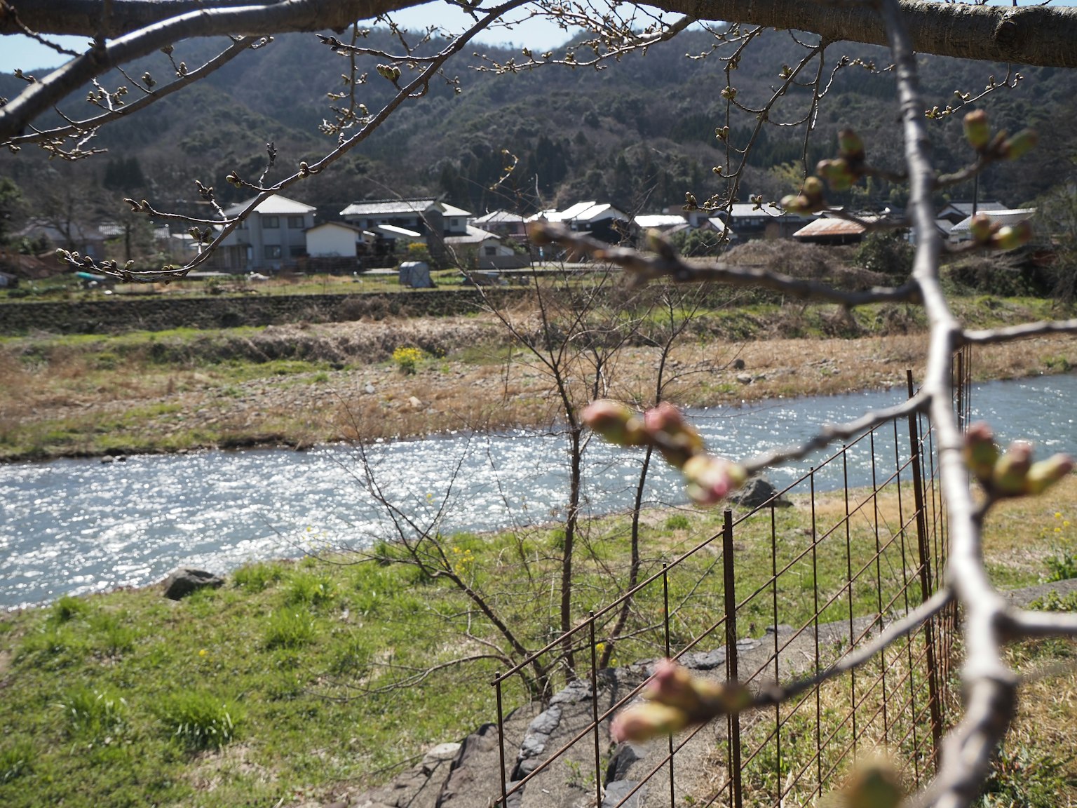 河流与发芽树木及远处村庄的风景
