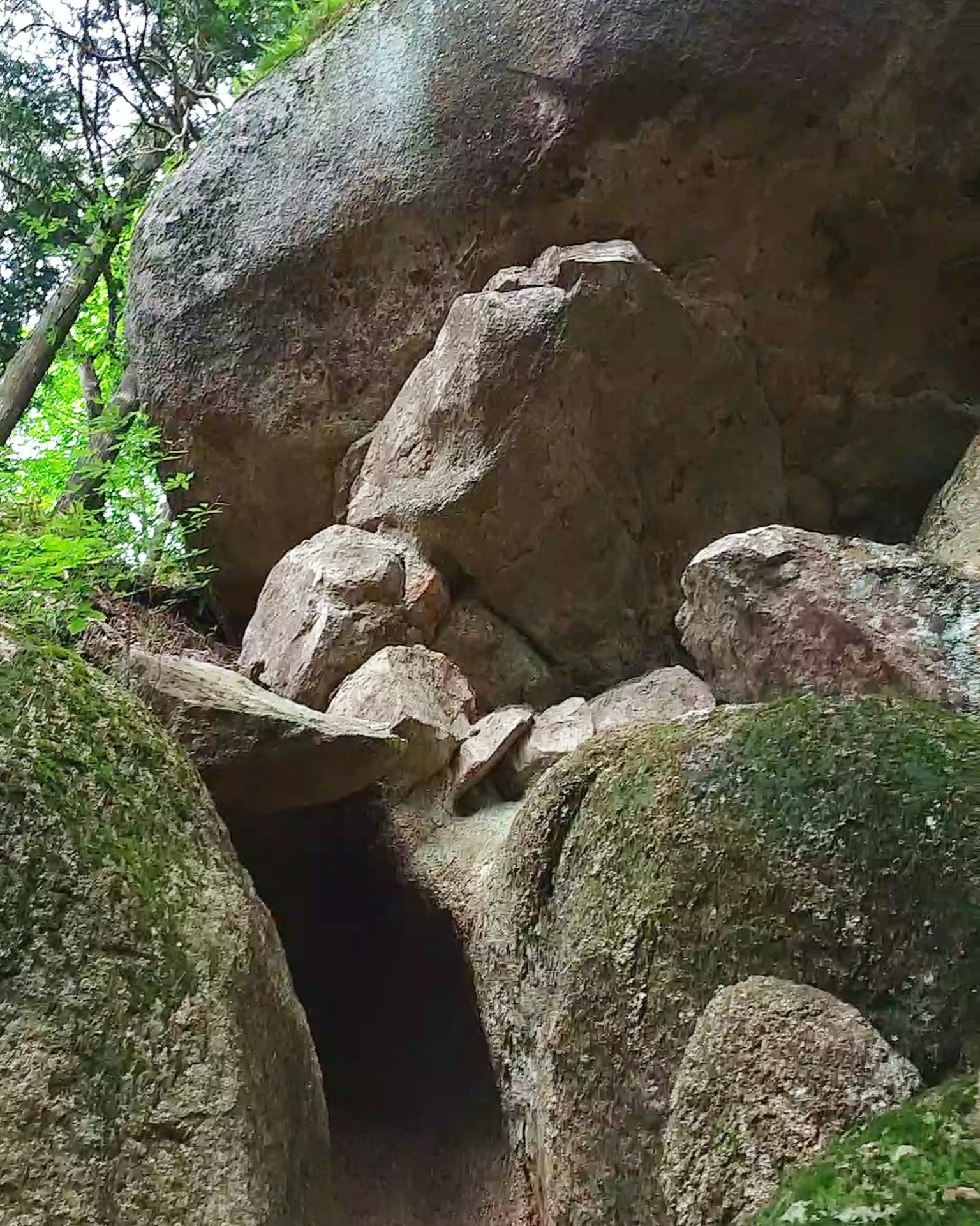 被岩石和绿色植物包围的自然洞穴入口