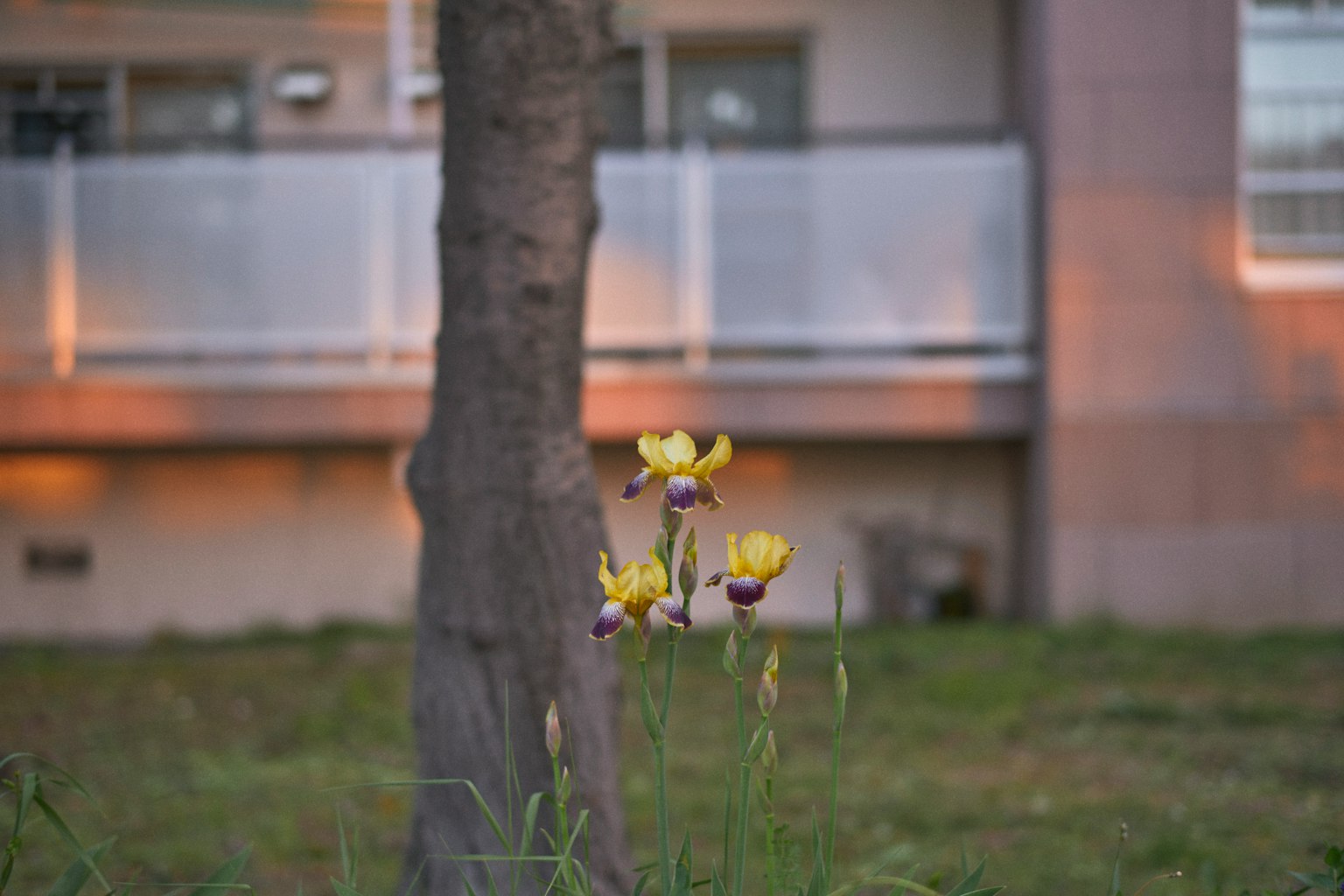 photo-e0rt11luzgKSRq2EOANs-image