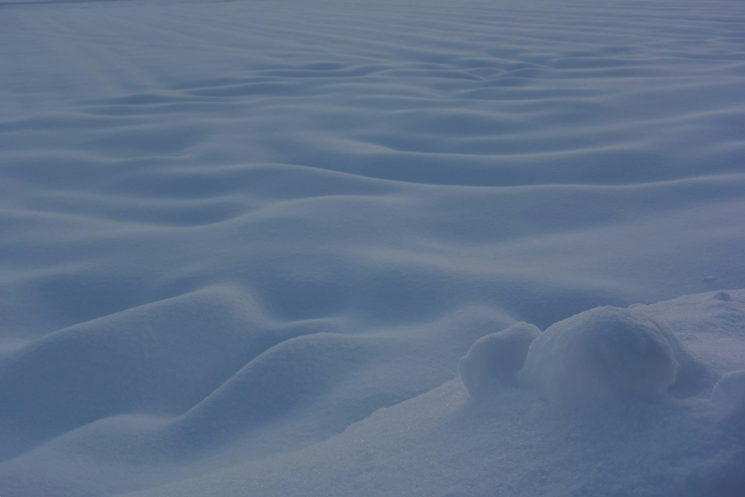 Imagen de terreno ondulado cubierto de nieve