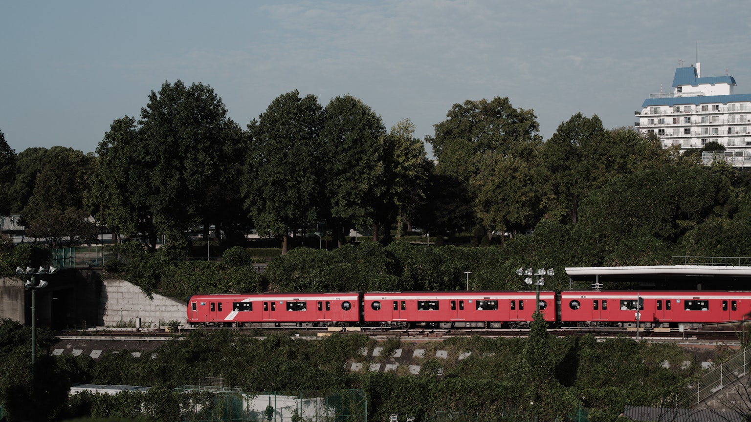 รถไฟสีแดงวิ่งผ่านต้นไม้เขียวขจี