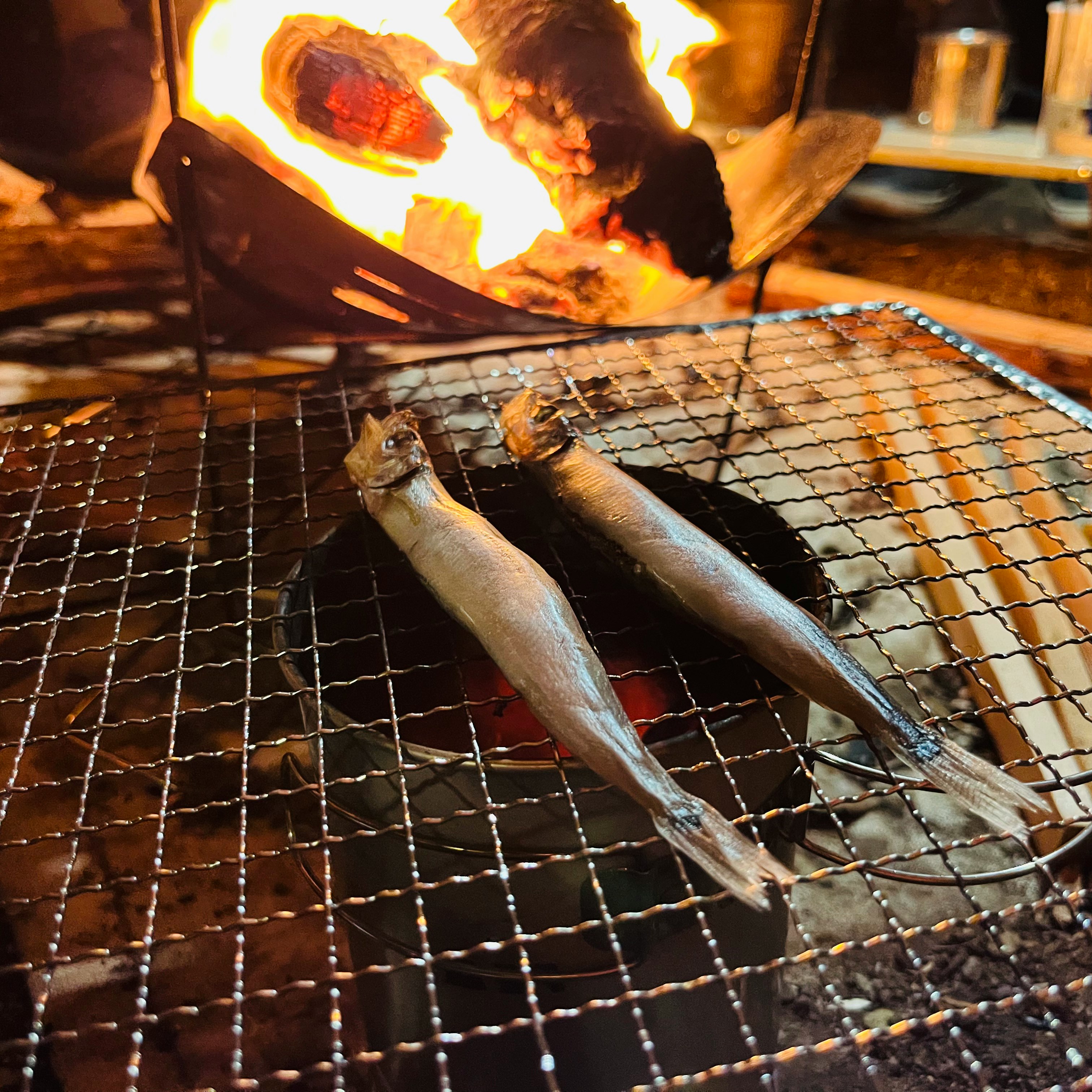Two fish grilling over an open flame with a fire in the background