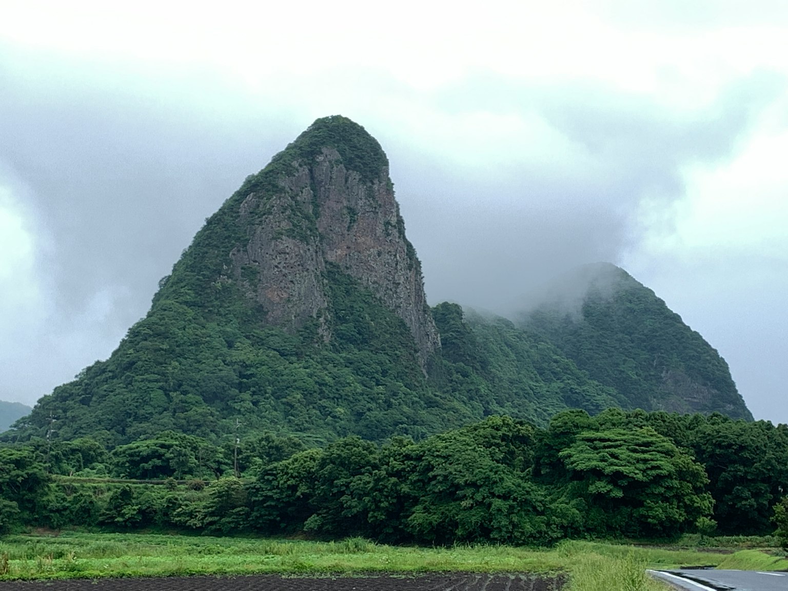 Berg in Nebel gehüllt mit üppigem Grün
