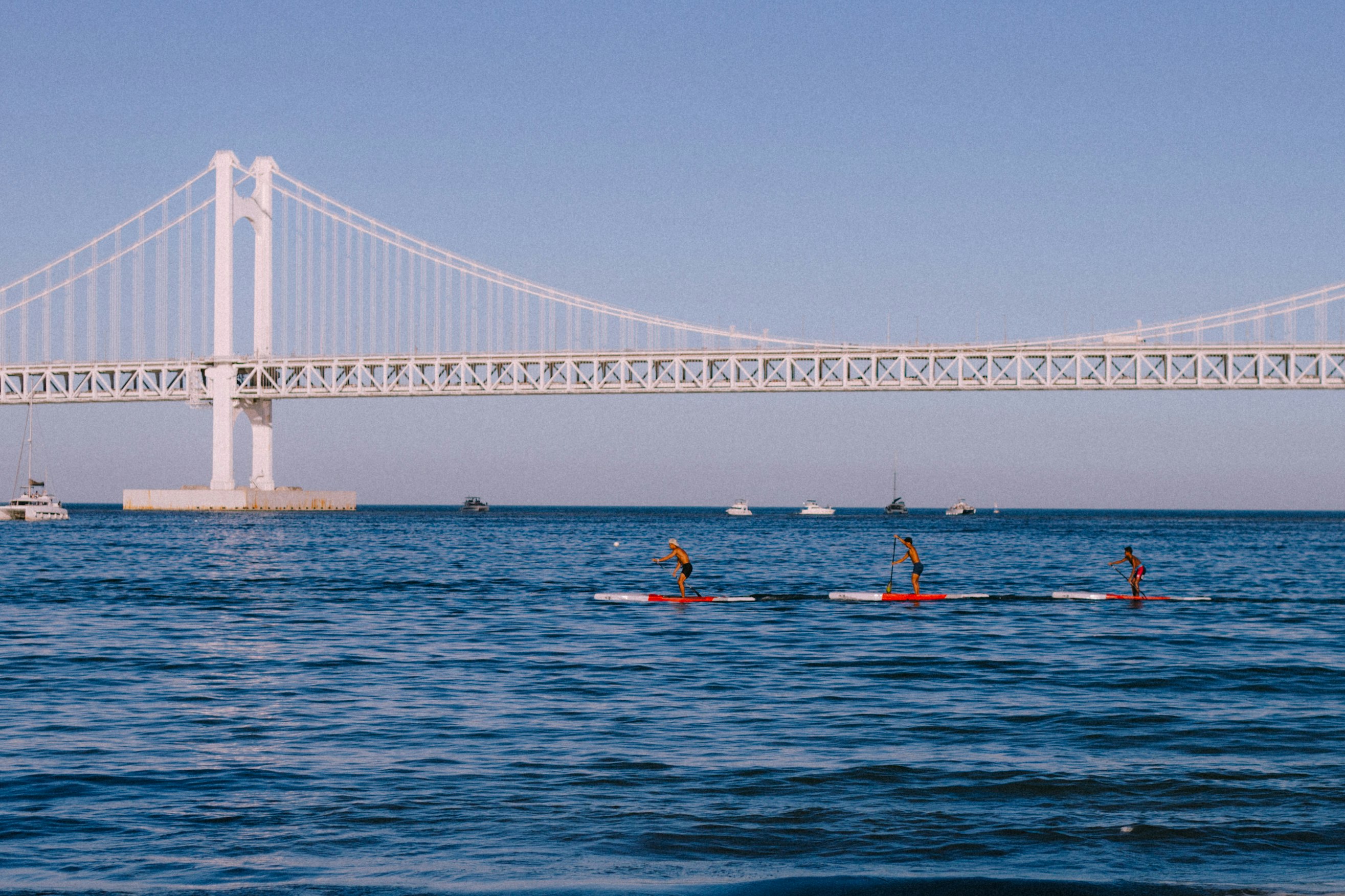 photo-e1s8KpXp5EPLyeixT34S