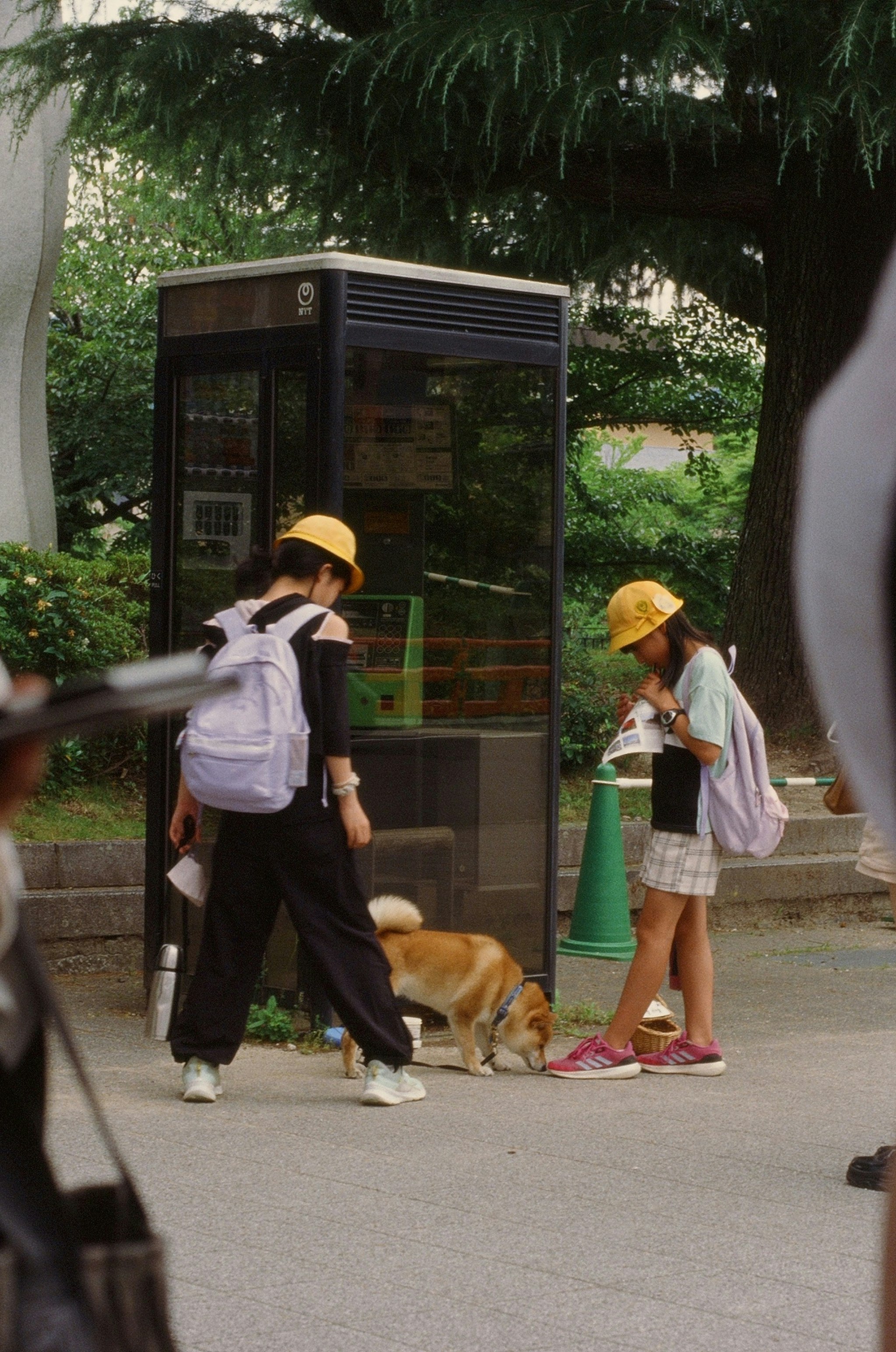 京都市のバス停前で犬と一緒に歩く家族