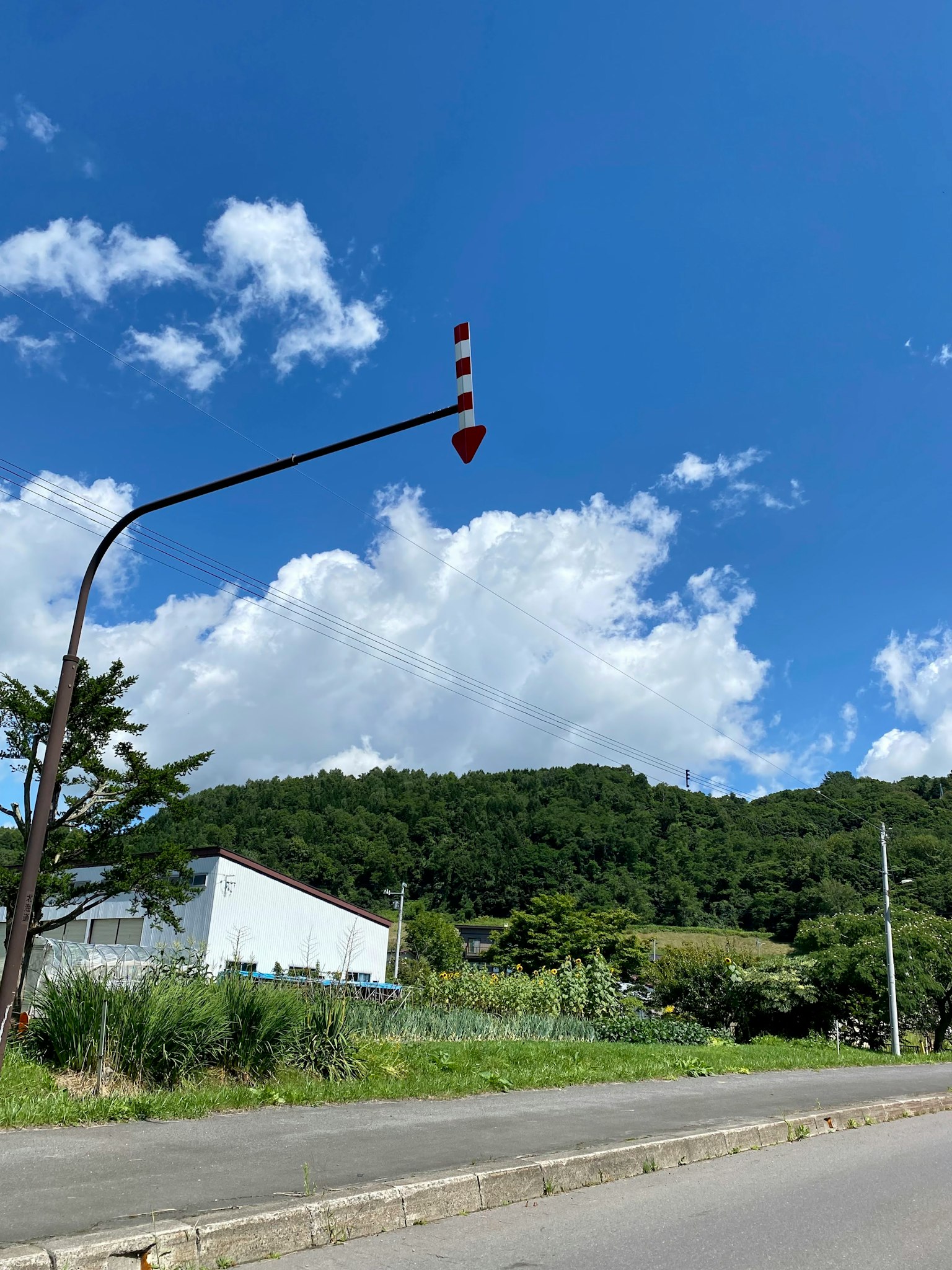 一幅风景，红色箭头交通标志在蓝天和白云的背景下，绿山环绕