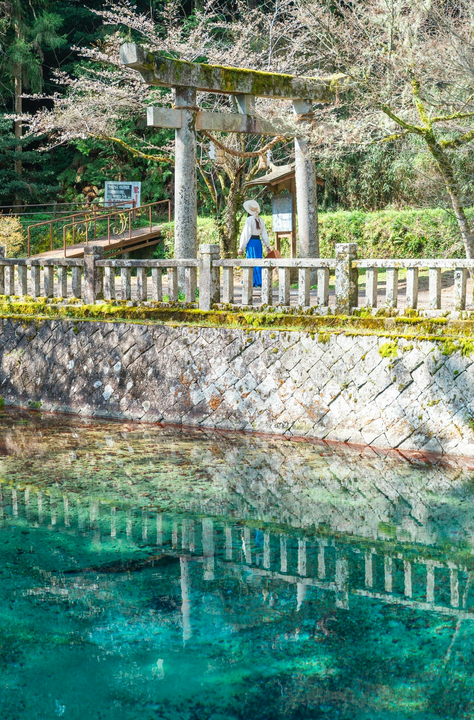l’étang bleu et limpide de Beppu Benten