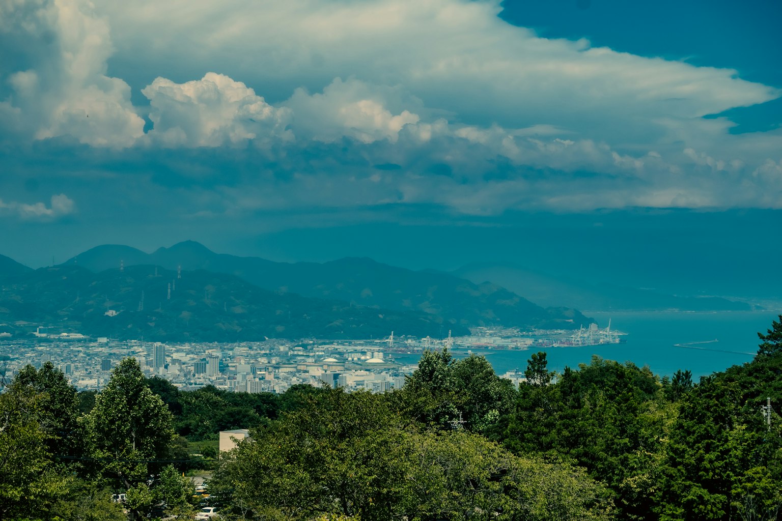 城市風景以藍色海洋和山脈為背景前景為郁郁蔥蔥的綠色樹木