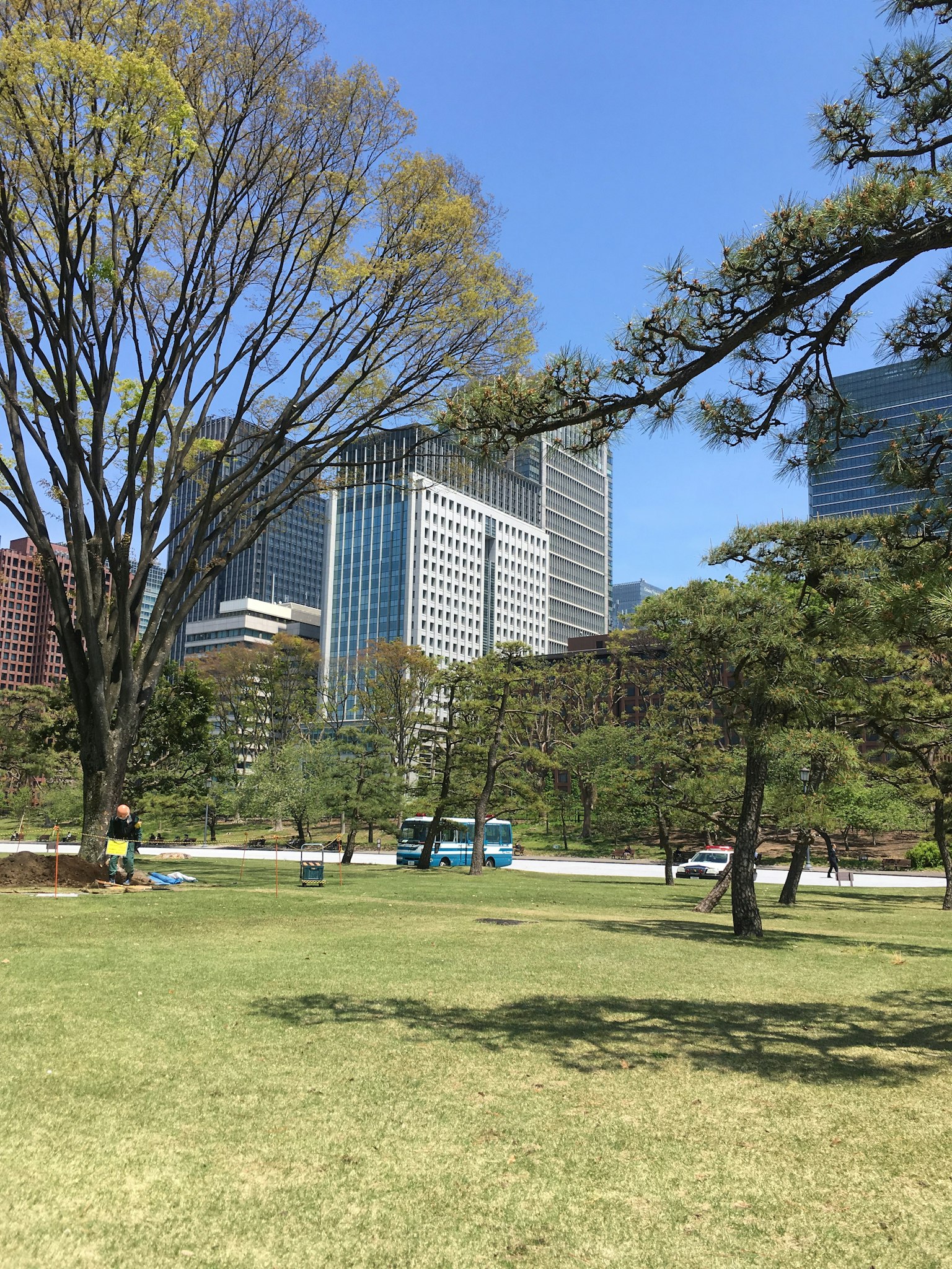 城市公园景观，高楼大厦，绿色草坪和树木
