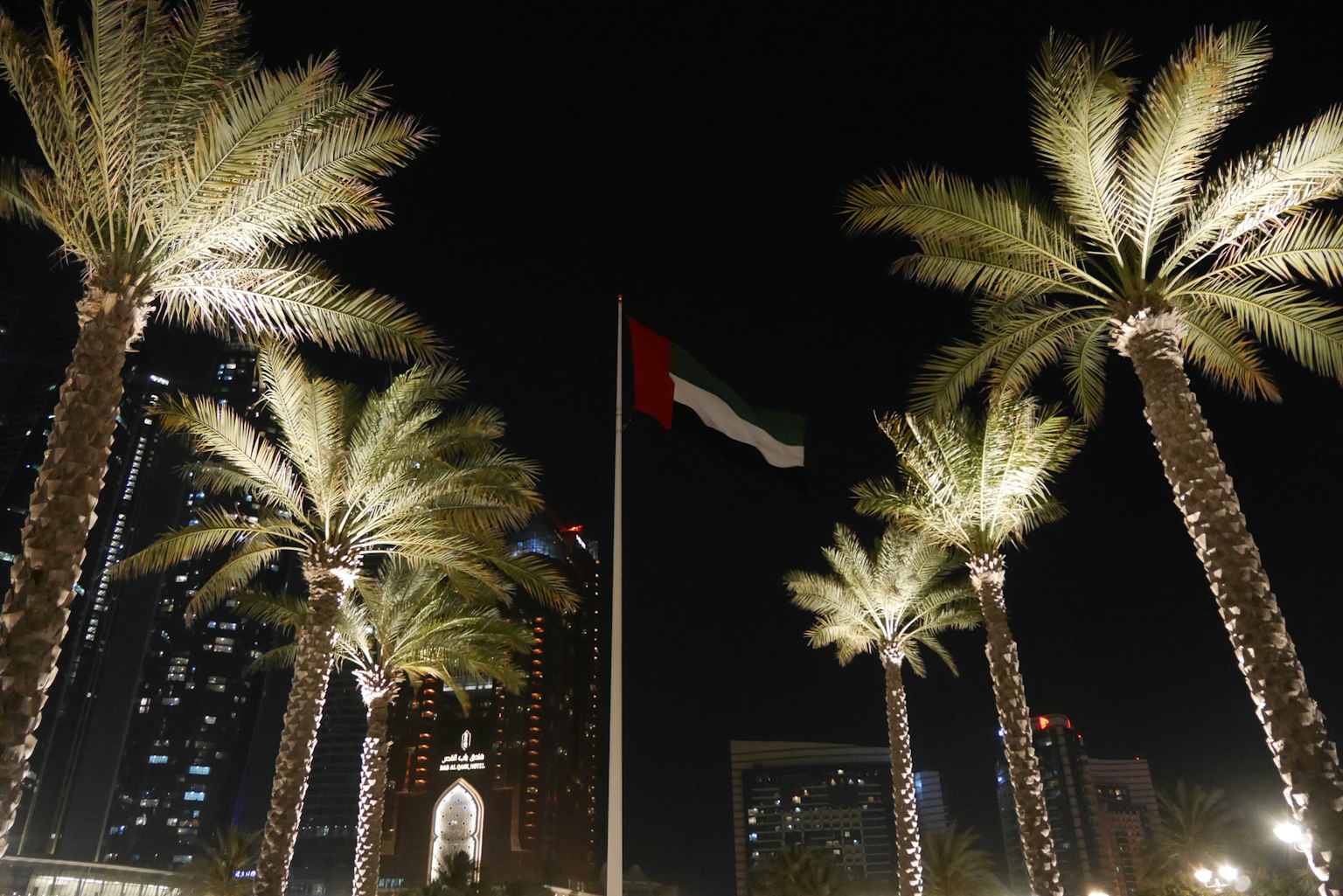 UAE flag and palm trees at night