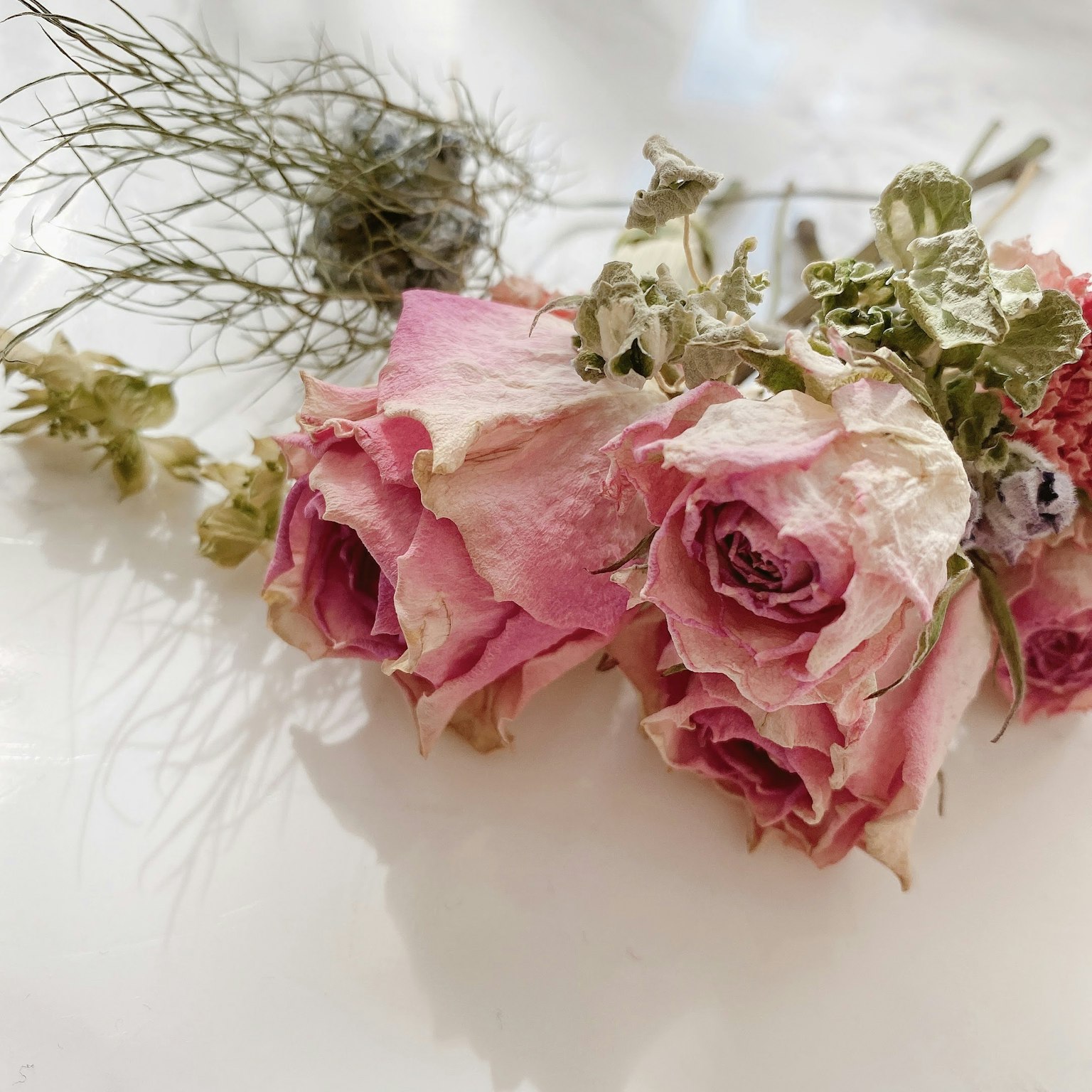 Dried pink roses and a bundle of grass on a white background