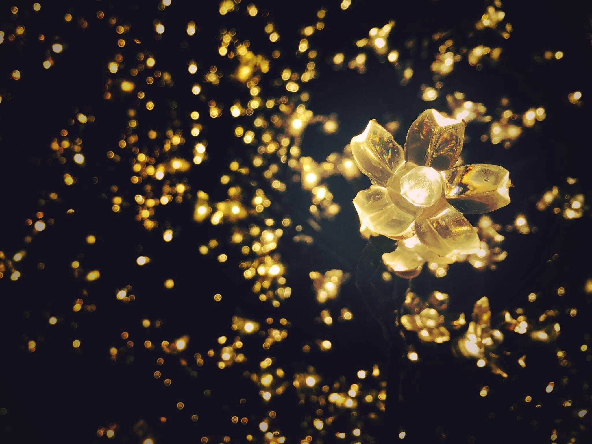 金色の花火のような光の粒と中心のきらめく花形
