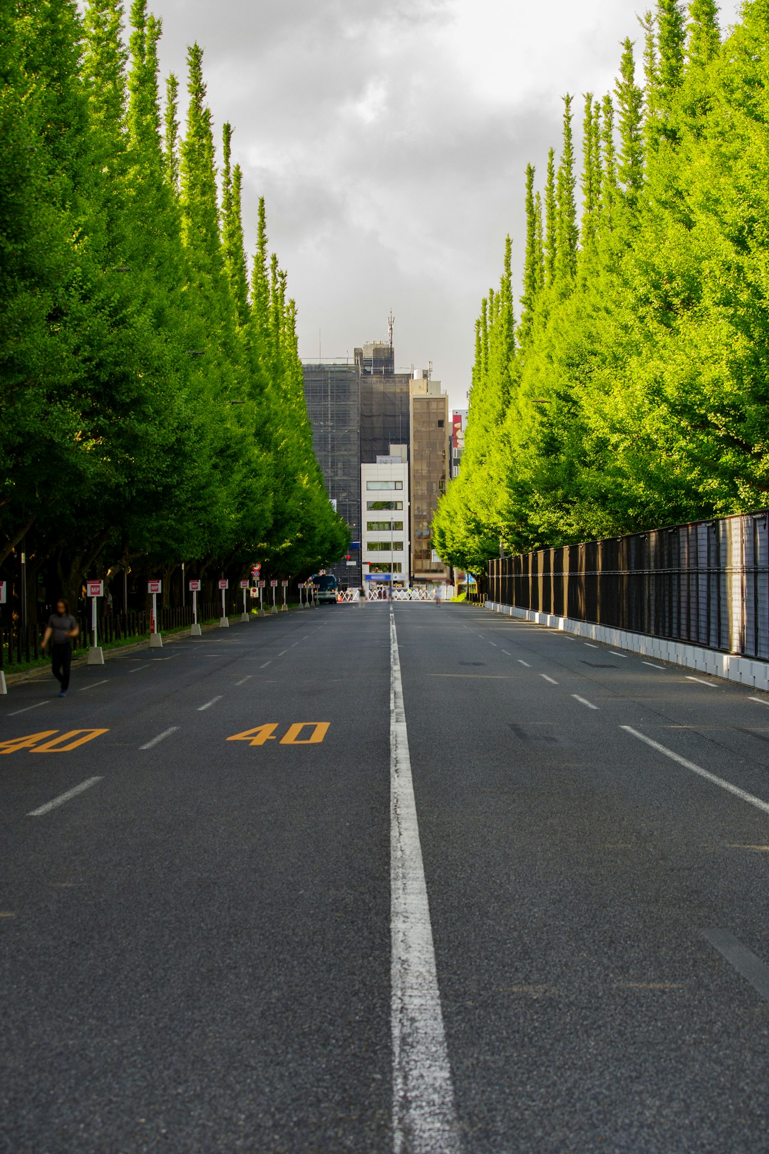 Route droite bordée d'arbres verts avec une toile de fond urbaine