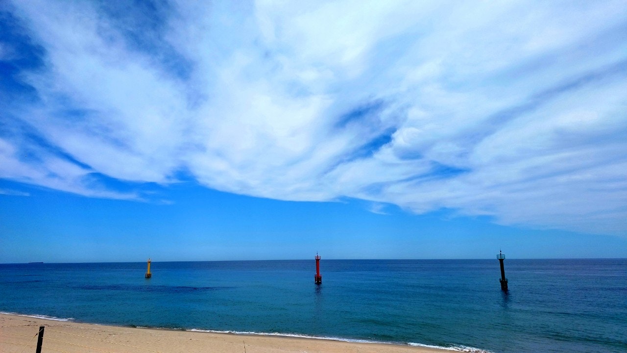 青い空と海に浮かぶ防波堤の杭のある砂浜