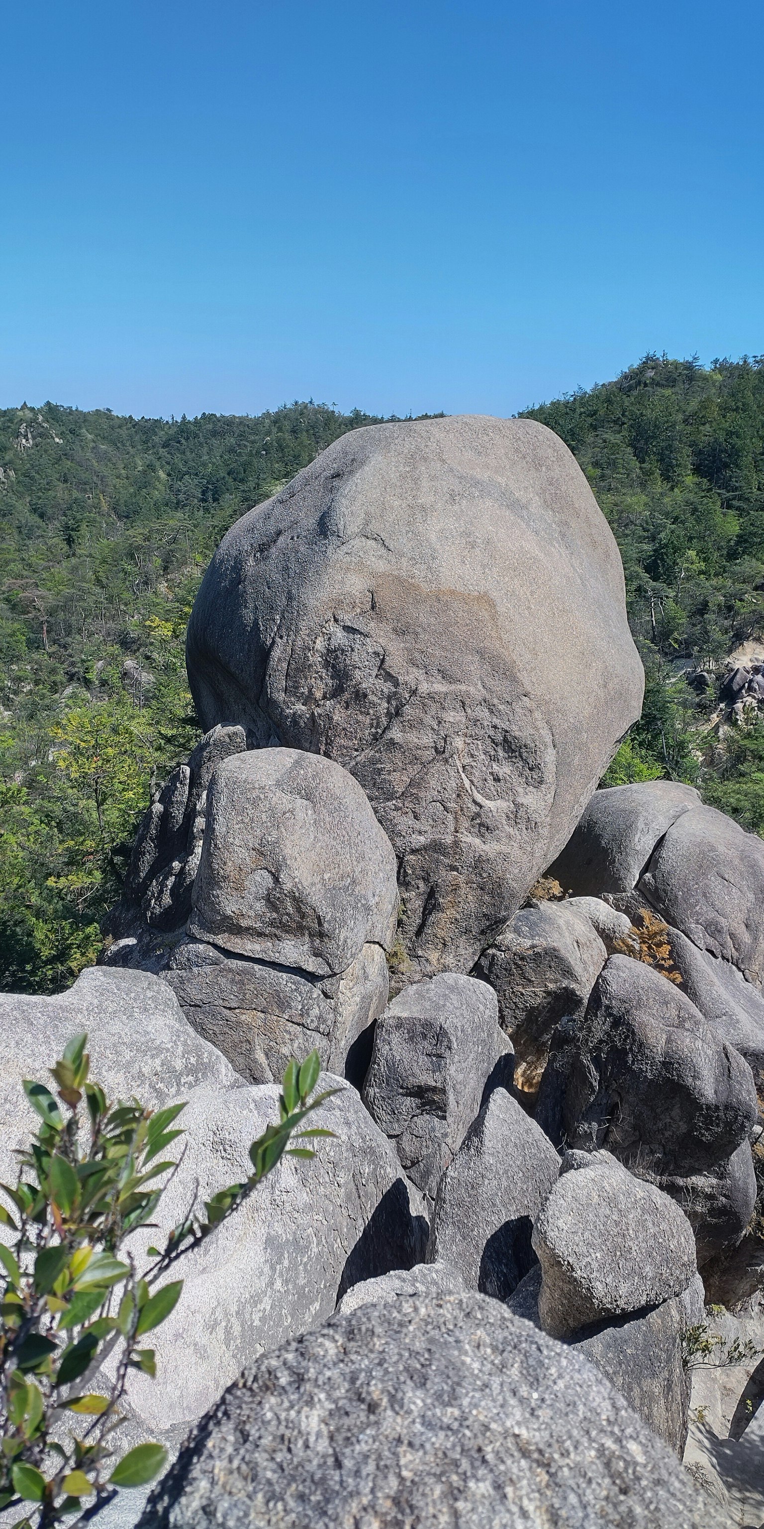 Large rock formation with surrounding greenery and blue sky