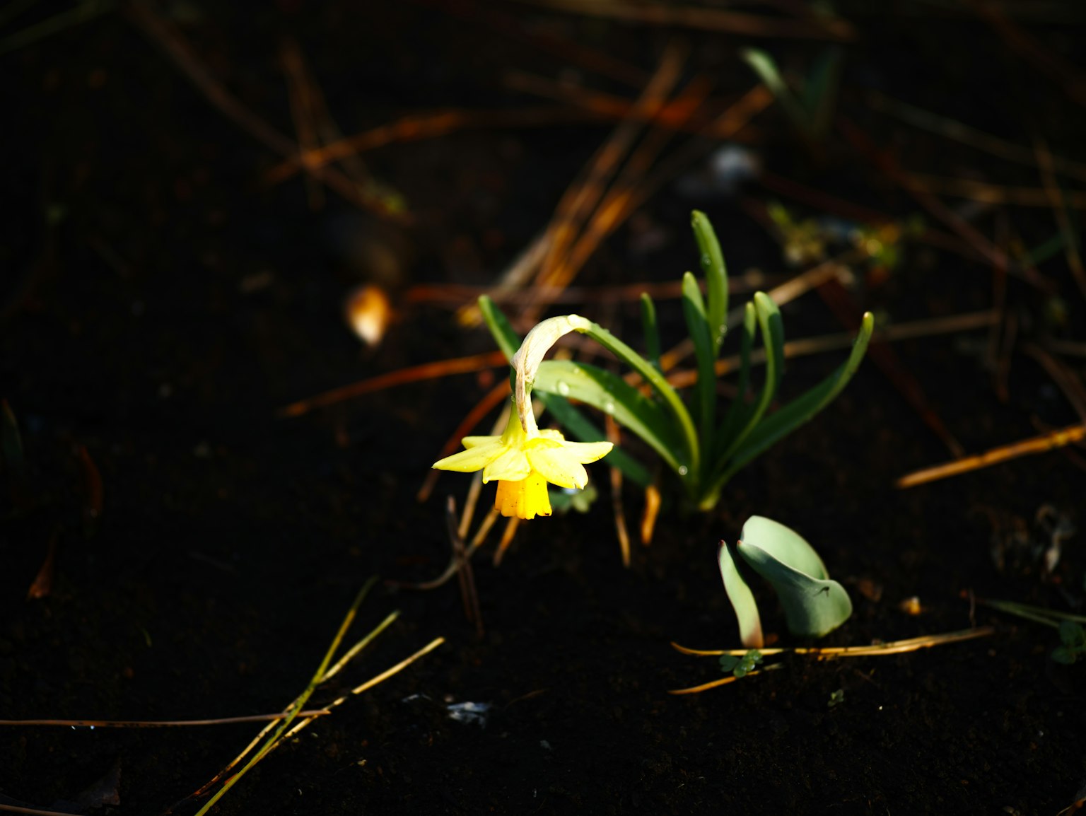 photo-e6KsFlsHEjho2A5x9hqj-image