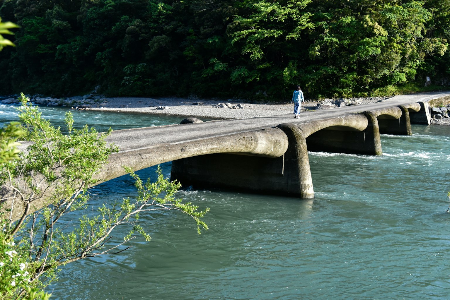 Pont en béton sur une rivière avec une végétation luxuriante autour