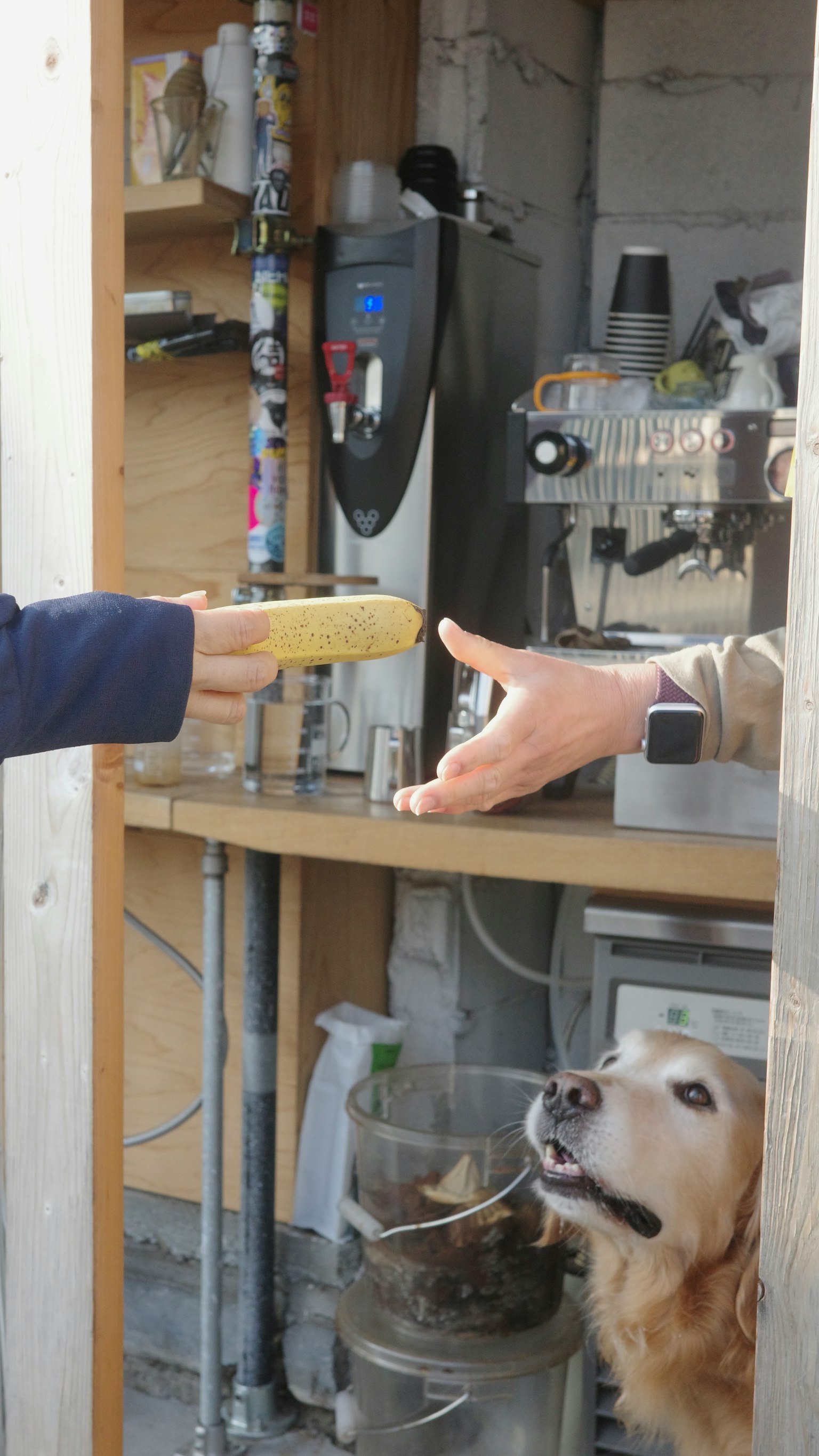 Eine Szene, die eine Person zeigt, die die Hand ausstreckt, während ein Hund in der Nähe zuschaut, mit einem Hintergrund von Werkbank und Werkzeugen