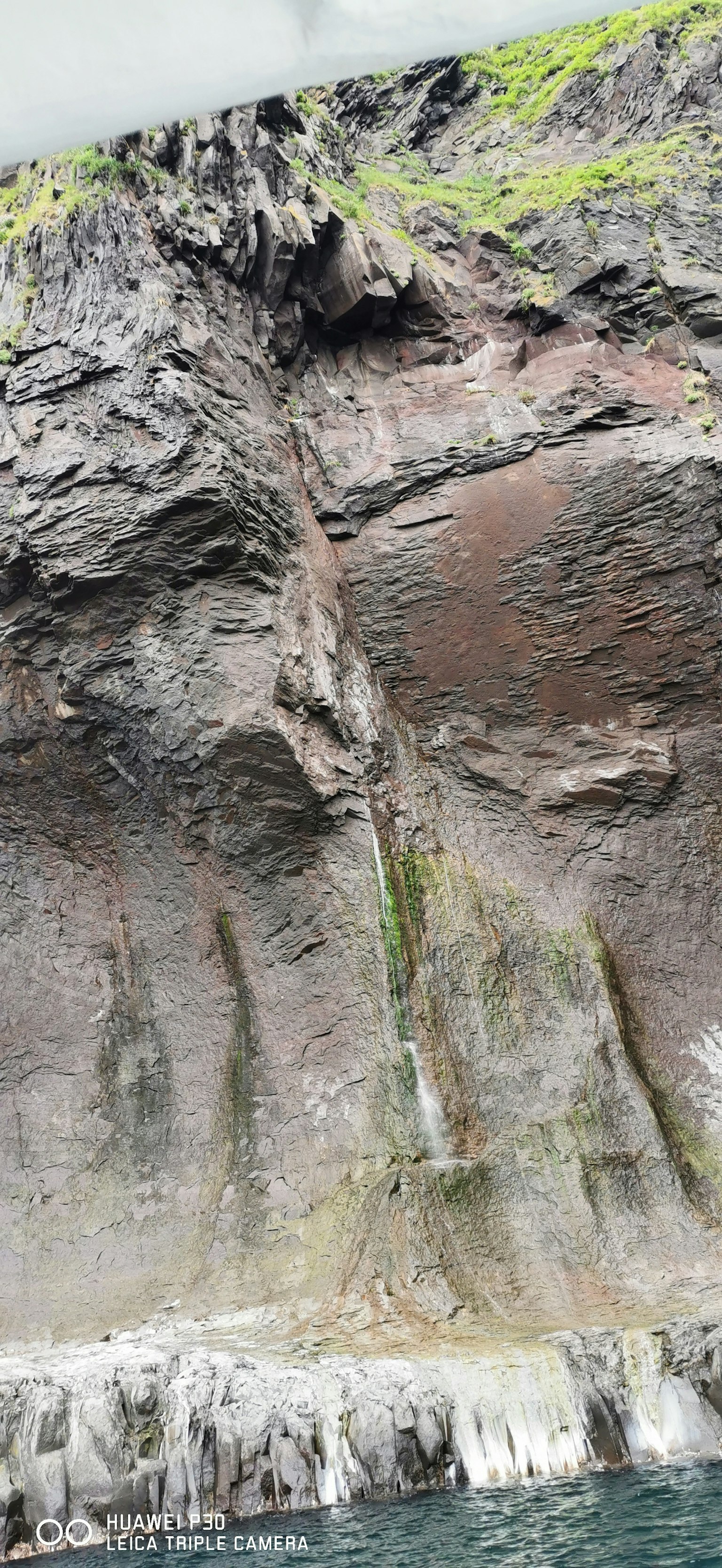Mur rocheux unique avec mousse humide et couleurs variées