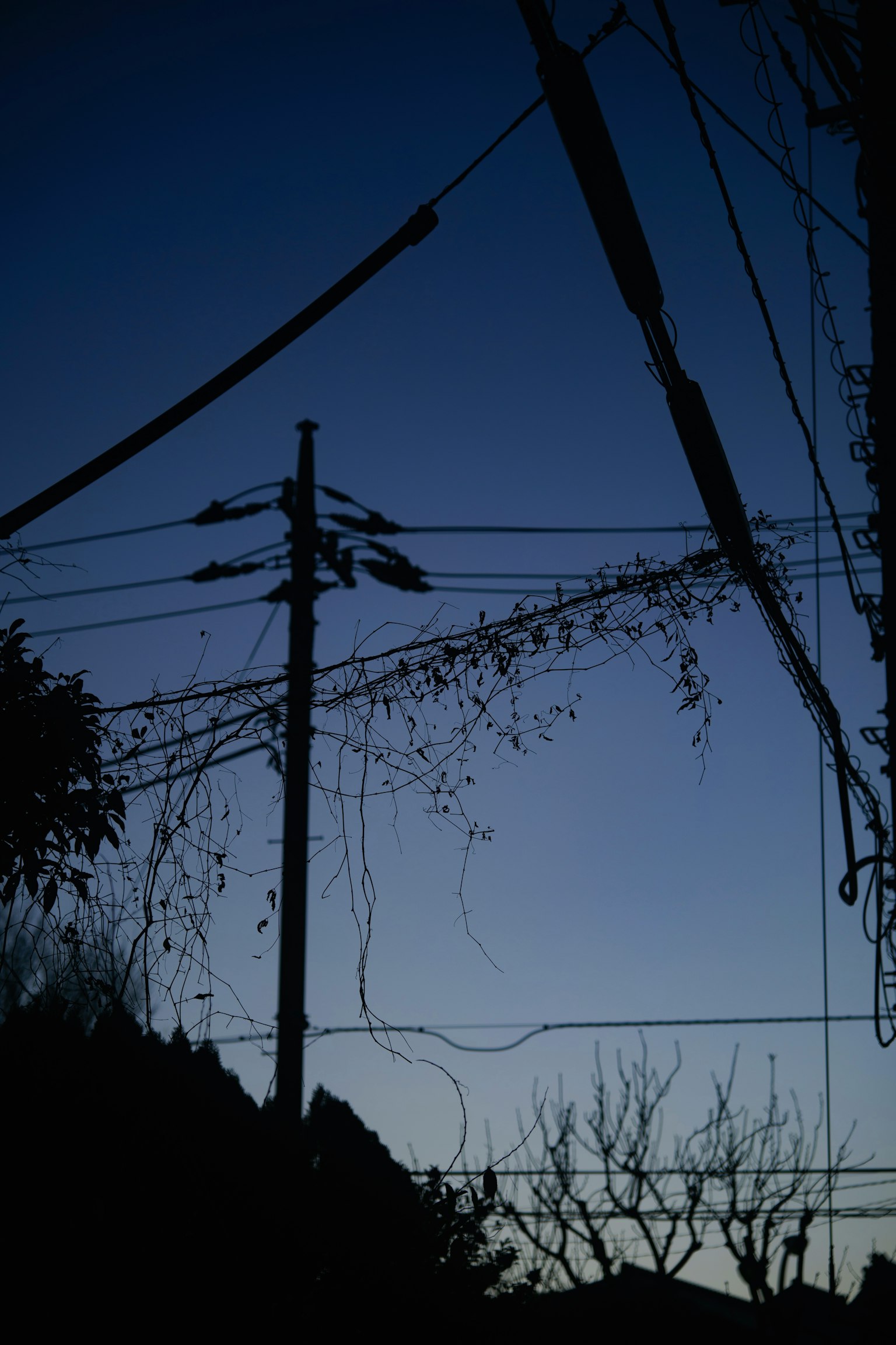 Silhouette de poteaux électriques et de fils au crépuscule