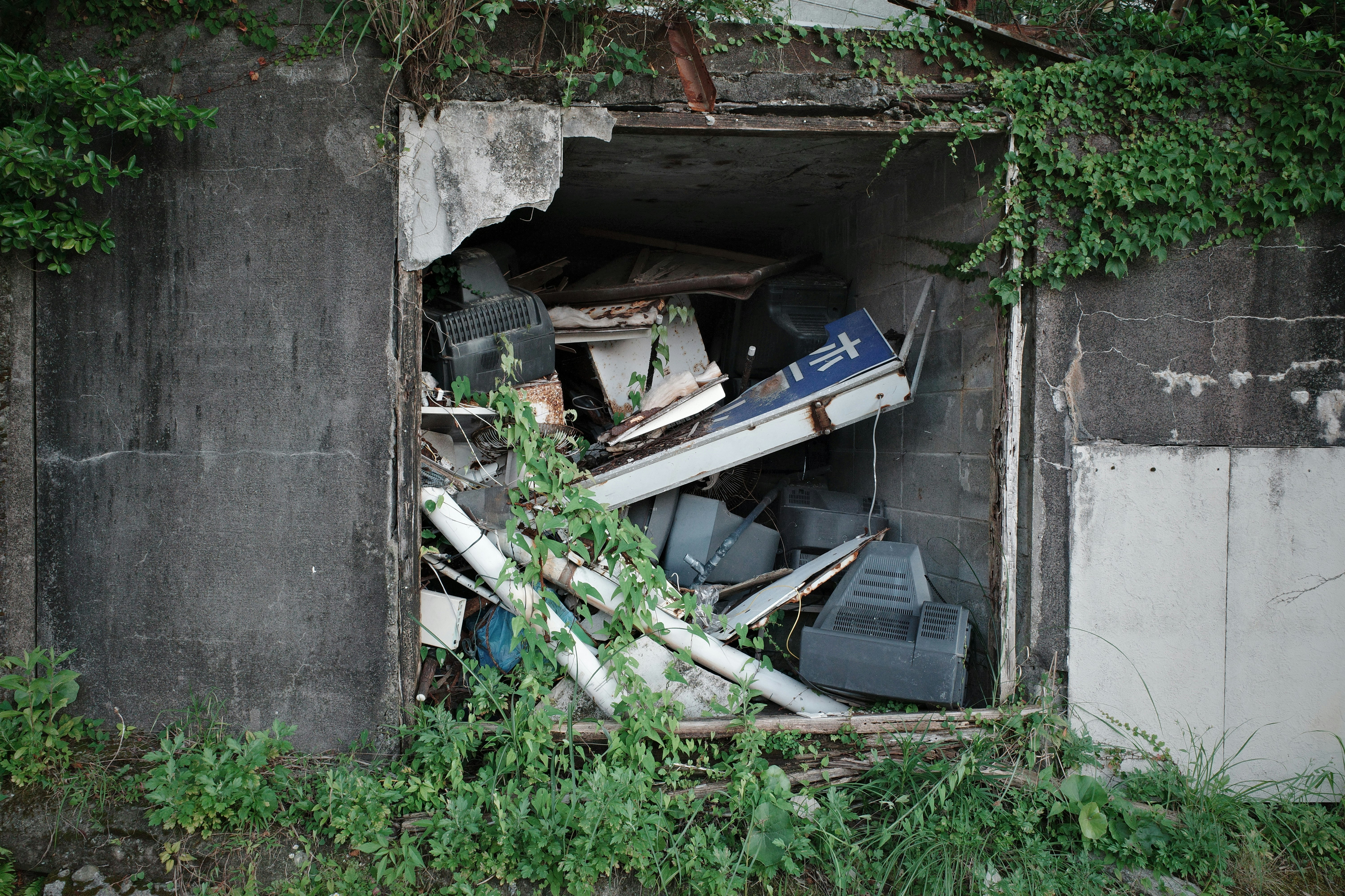 Overgrown concrete tunnel entrance with discarded debris