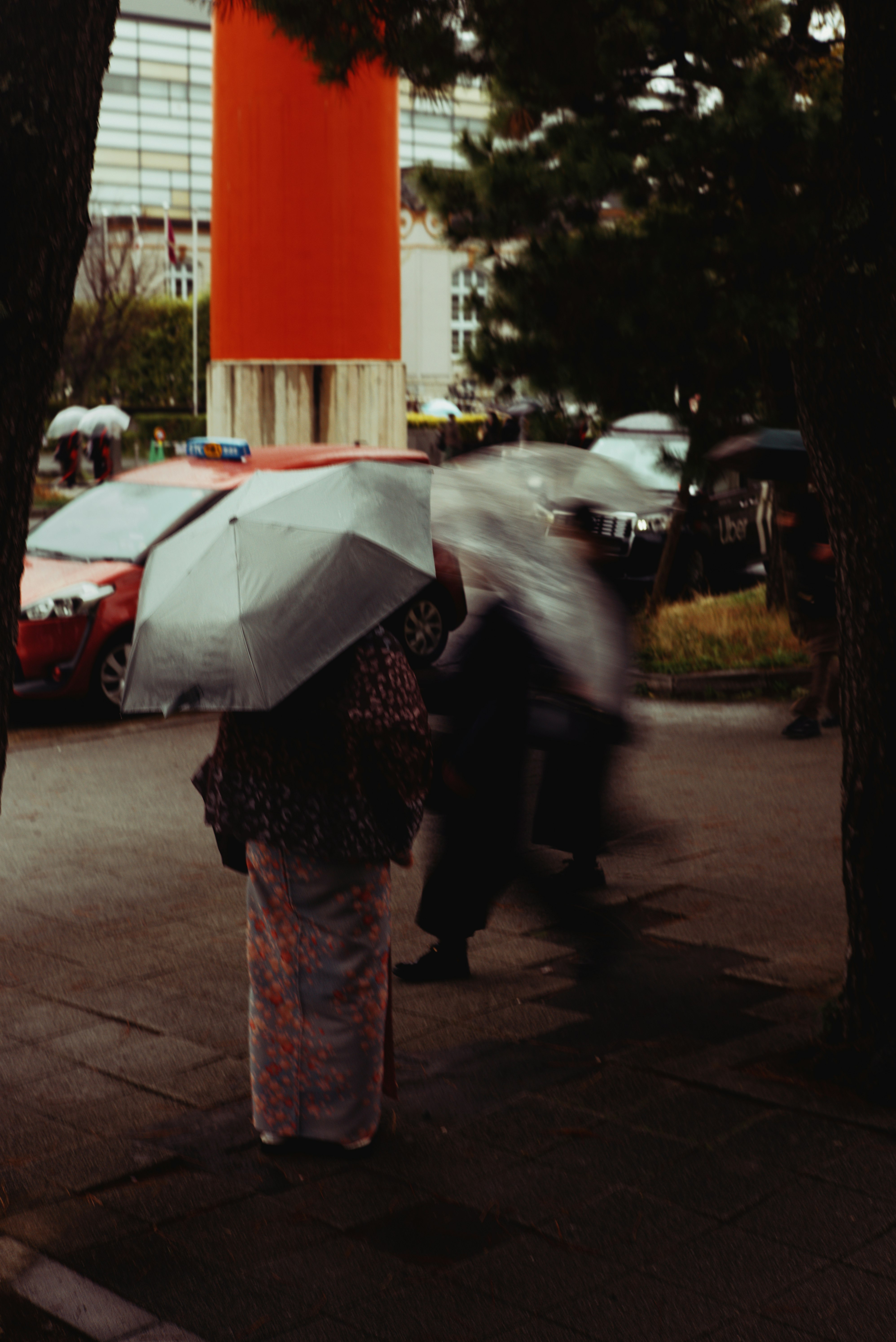 photo-e8yeQkMGb4YYLECpGdd3-image