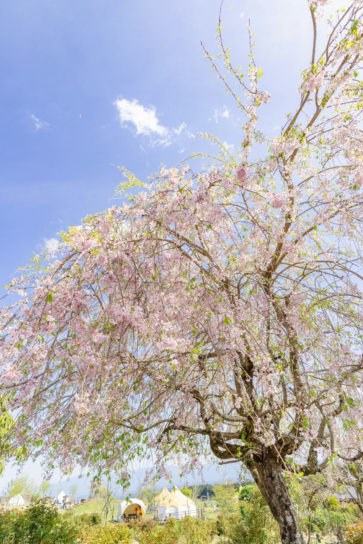 photo-e9024WgZDXR9ckBeijNB-image