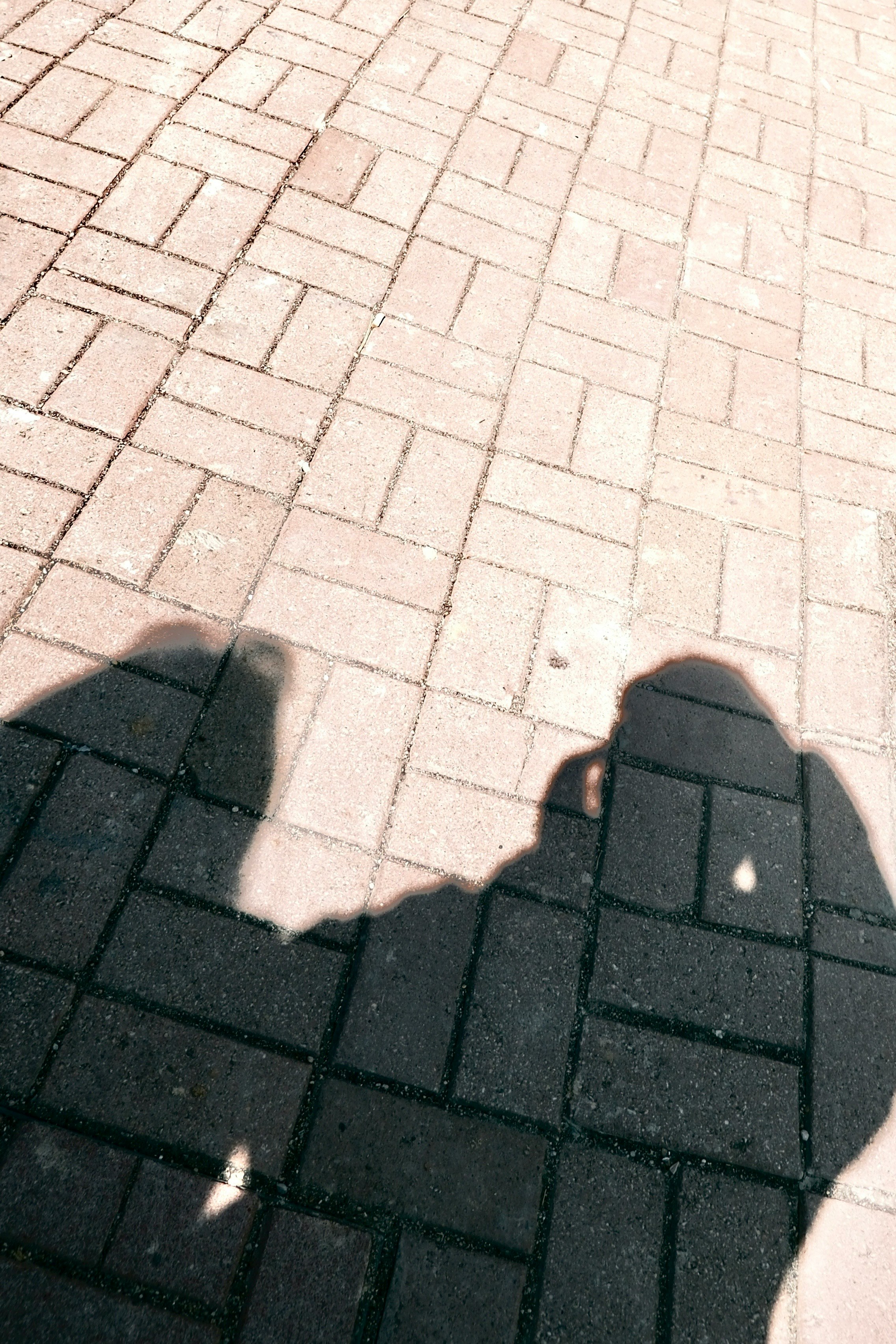 レンガ敷きの地面に映る人影