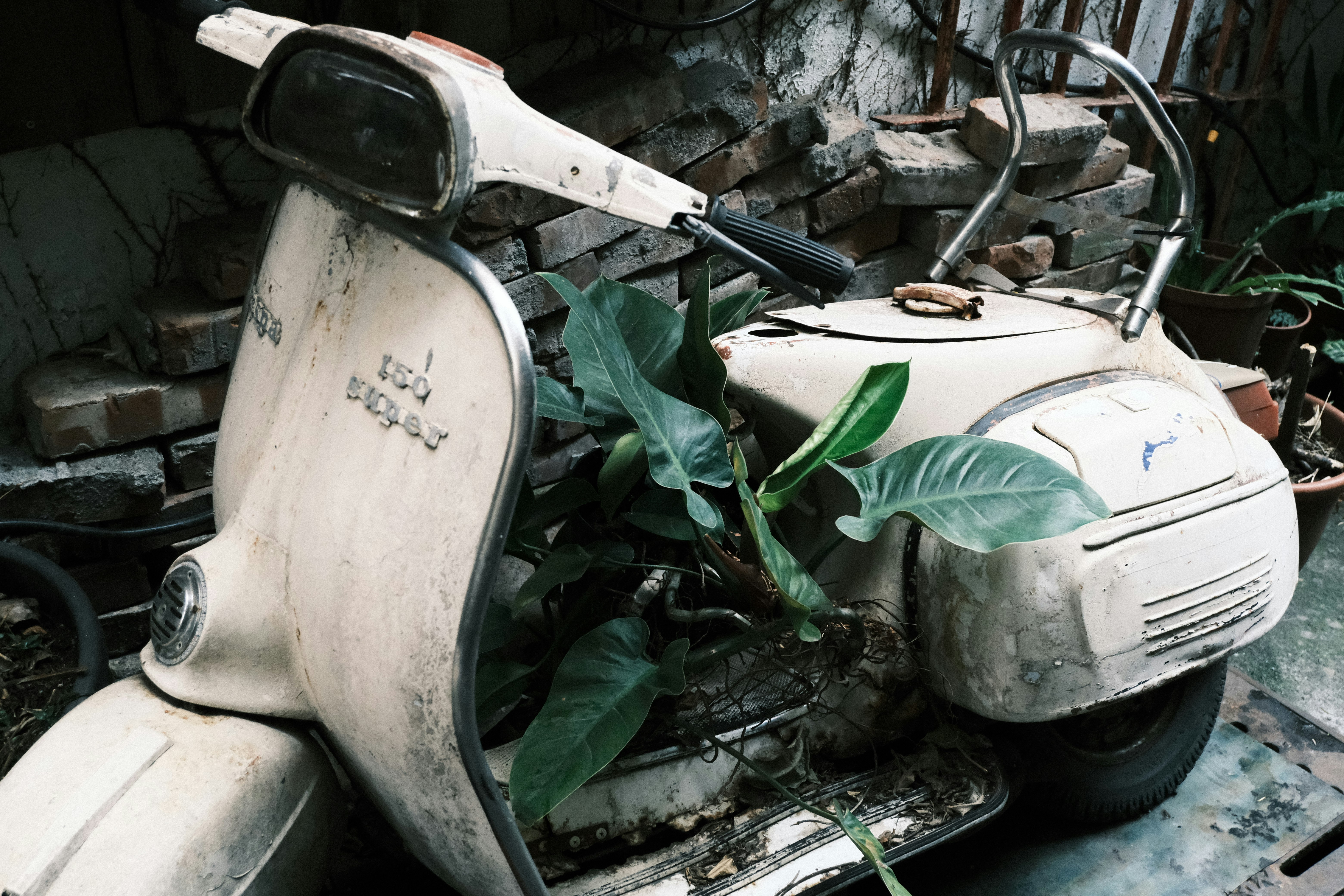 廃車のスクーターと雑草が生える路地のような屋外の荒れた置き場