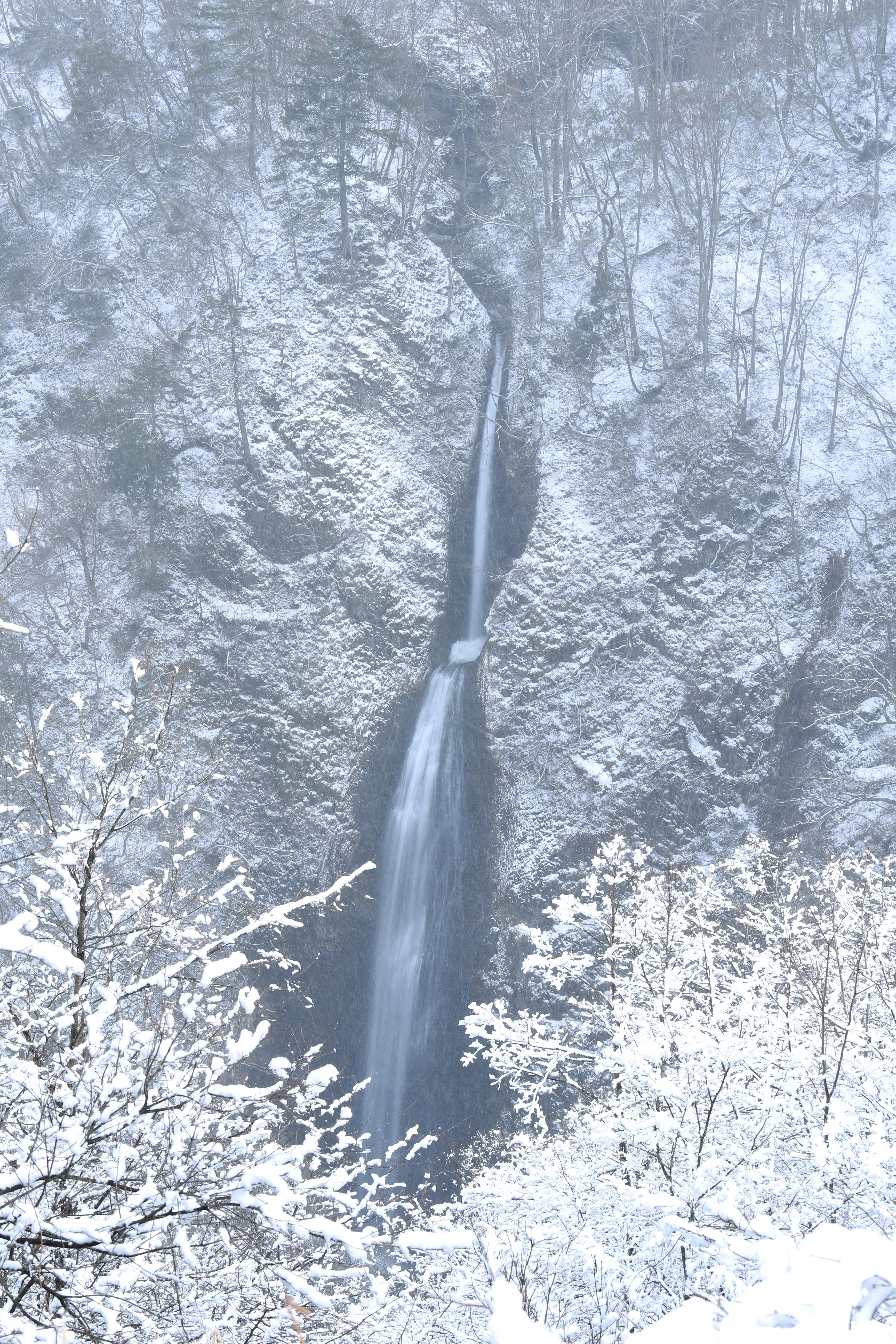 cascade en montagne sous la neige