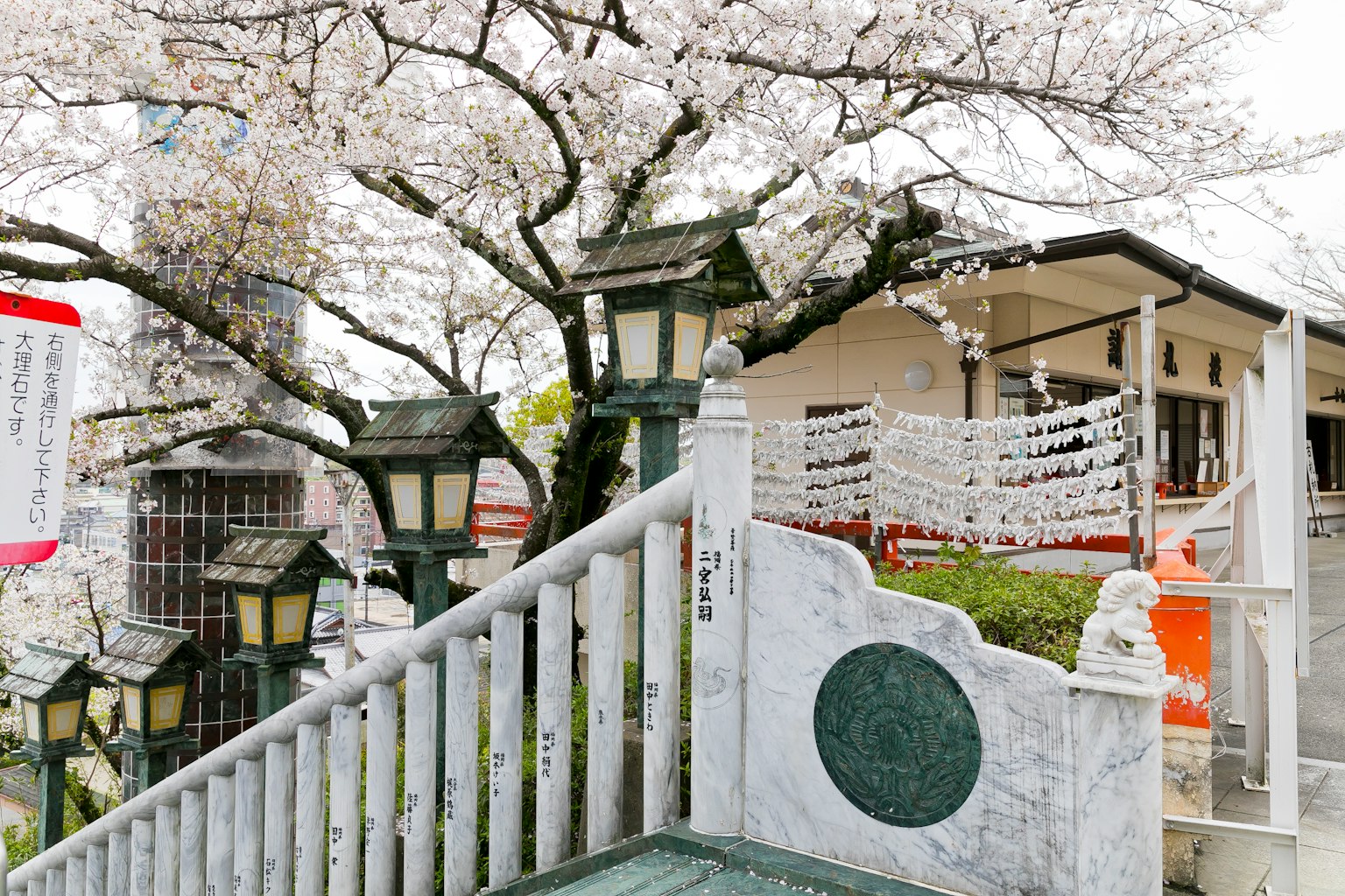 樱花盛开的神社景观和传统建筑