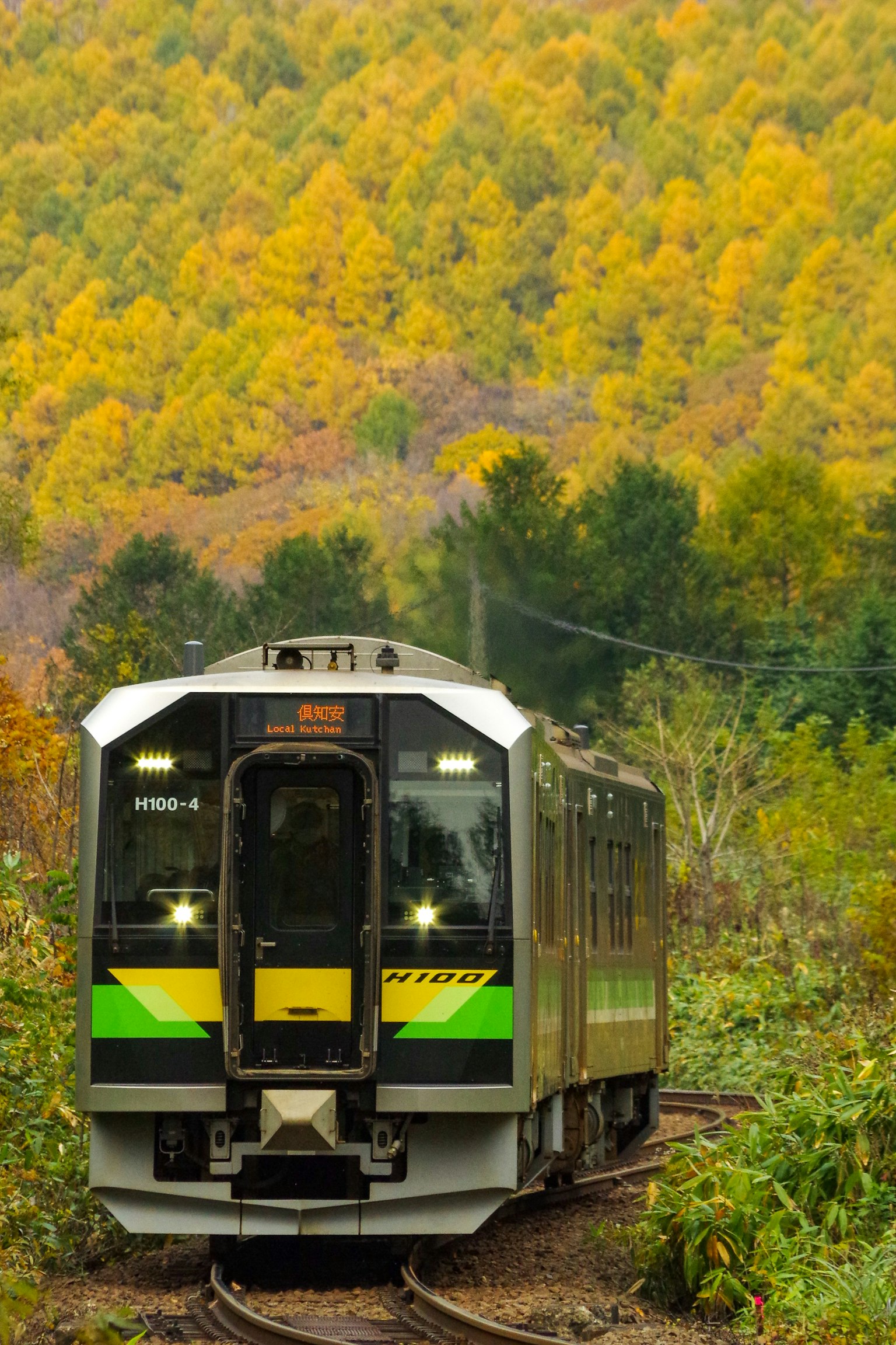 Kereta dikelilingi oleh gunung hijau dan kuning